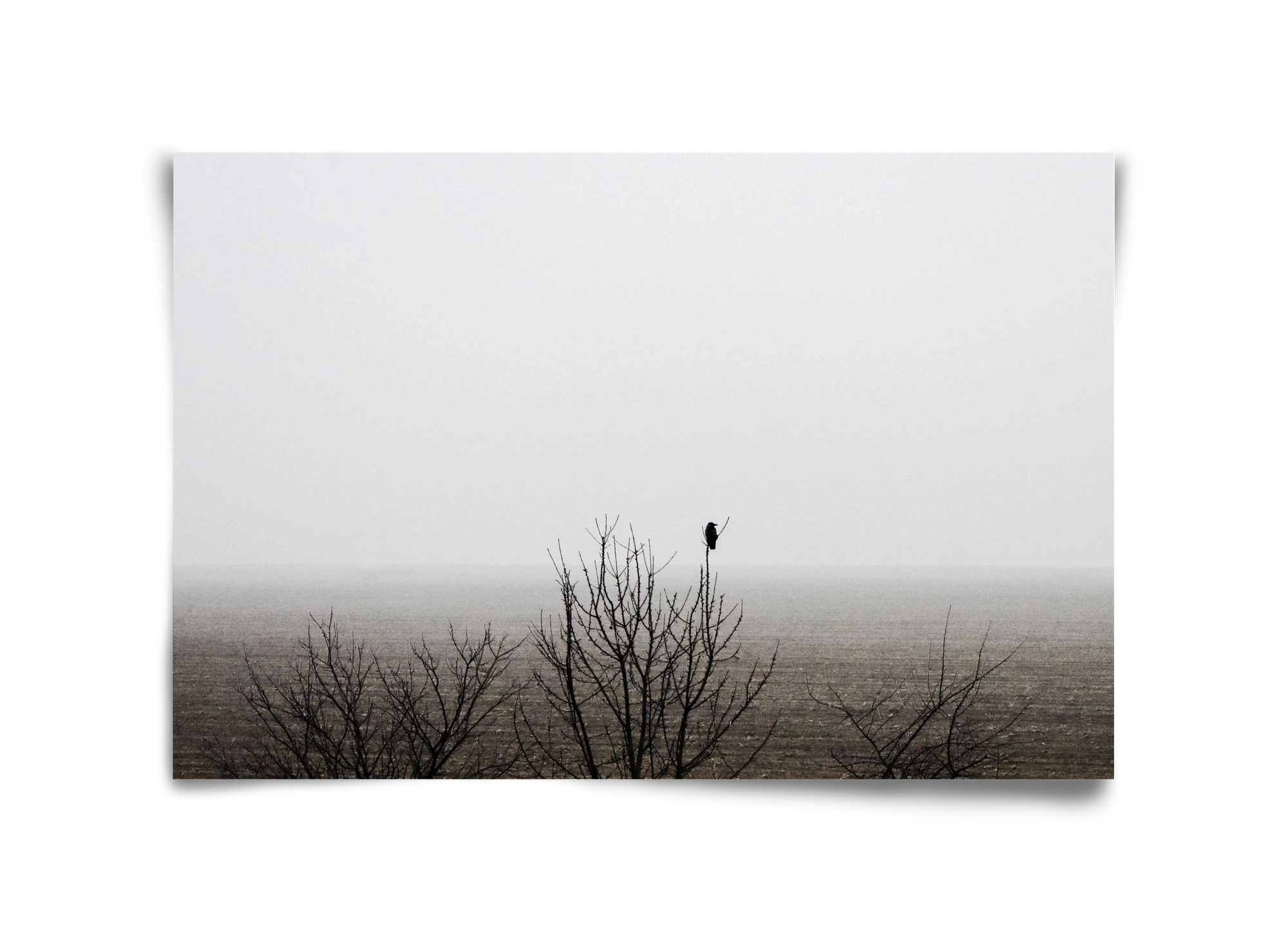 home, 45x30 cm, Keret nélkül