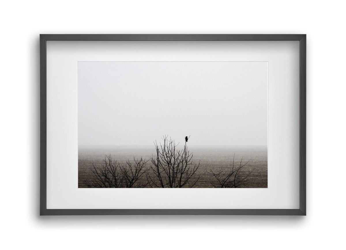 home, 45x30 cm (30x20 cm), Fekete keret, paszpartuval