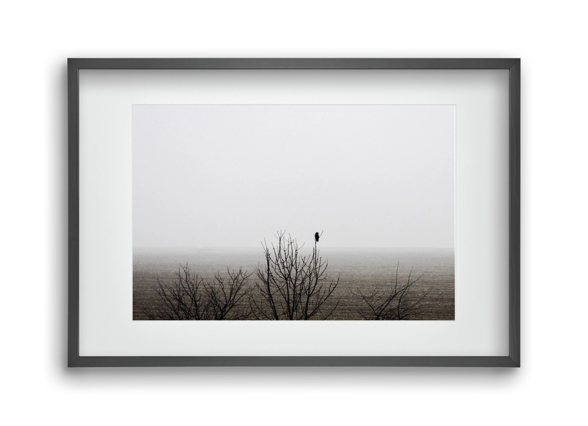 home, 45x30 cm (30x20 cm), Fekete keret, paszpartuval