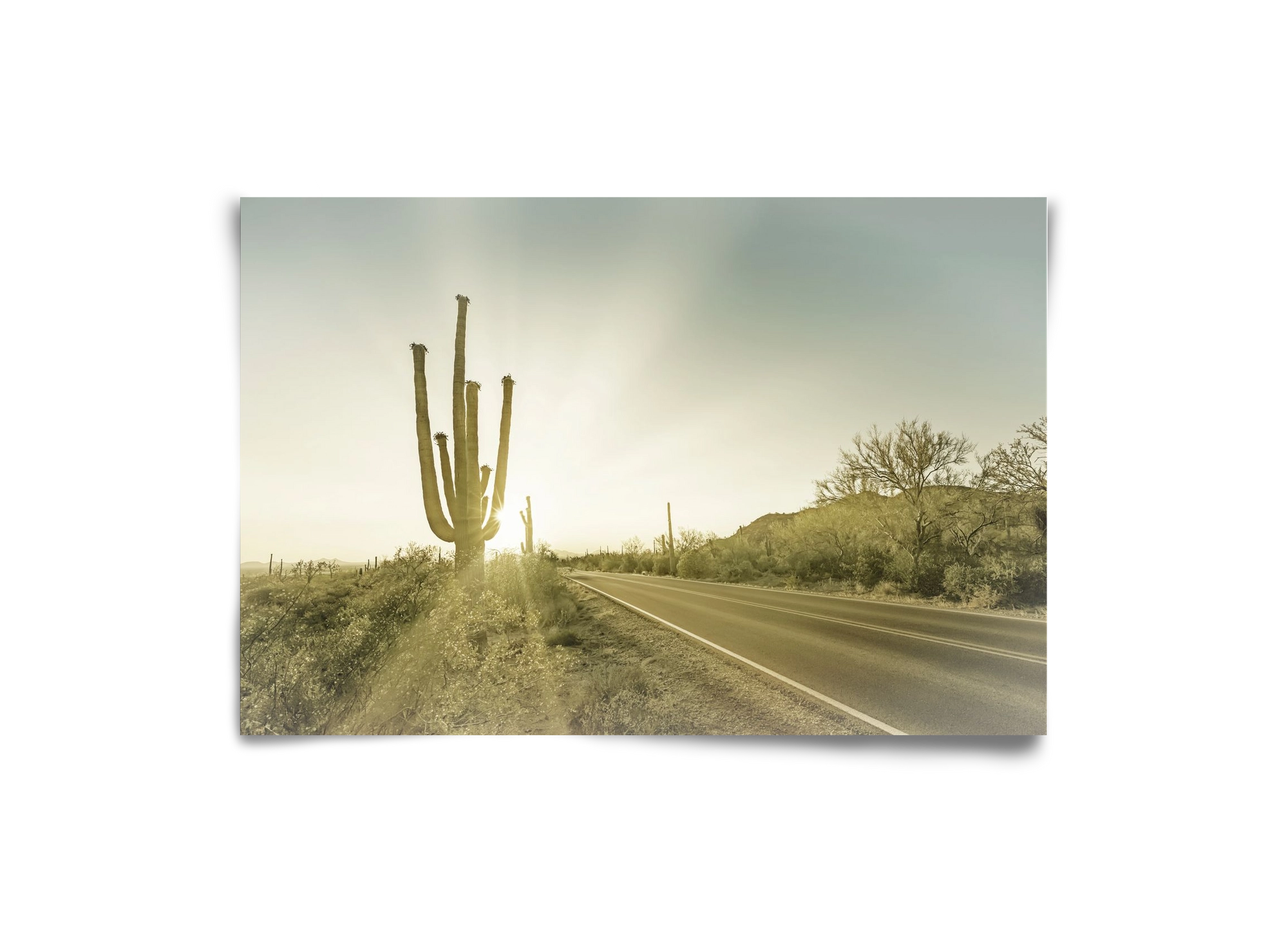 SAGUARO NATIONAL PARK Setting Sun | Vintage, 30x20 cm, Keret nélkül