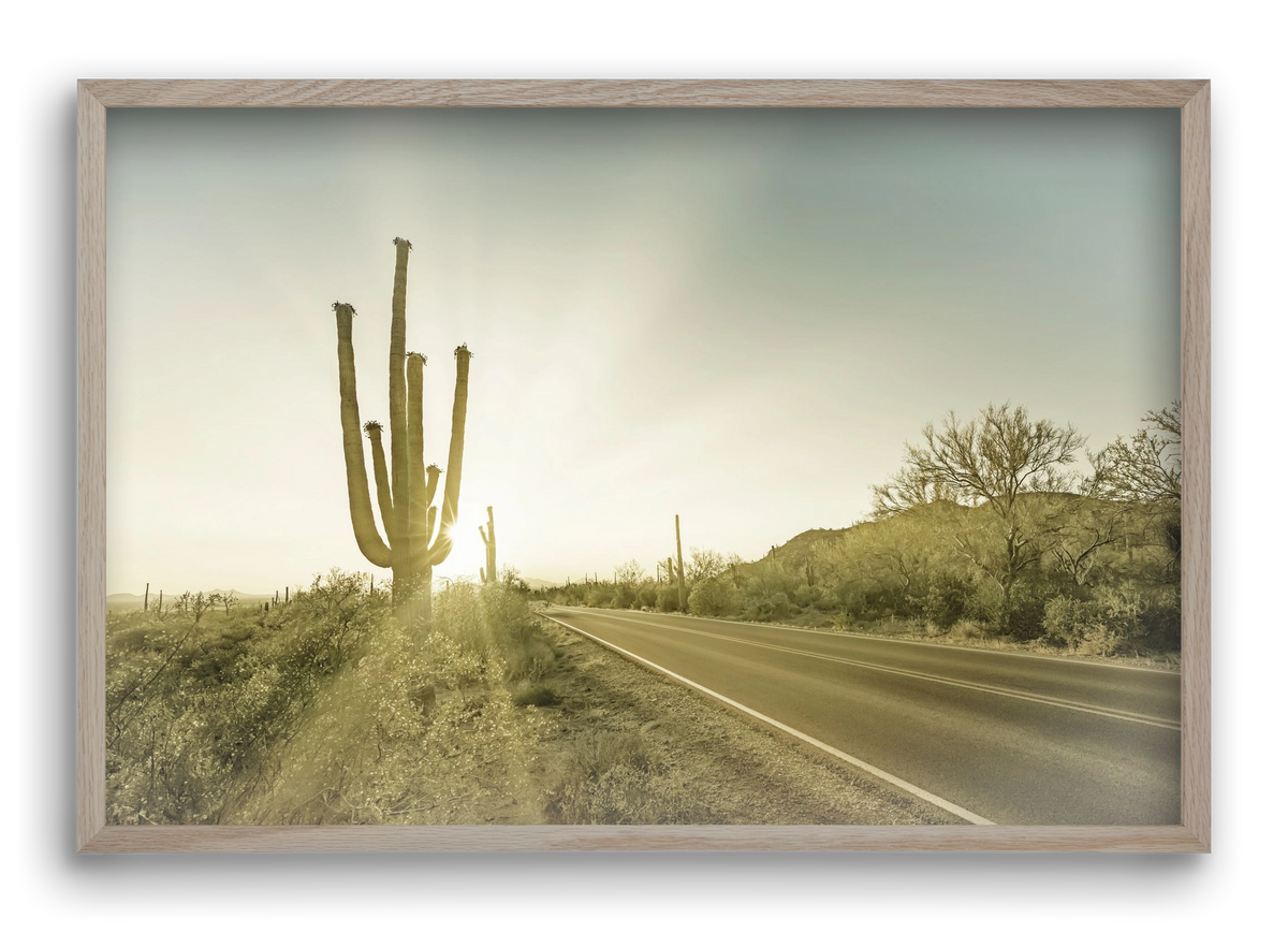 SAGUARO NATIONAL PARK Setting Sun | Vintage, 60x40 cm (60x40 cm), Tölgy keret