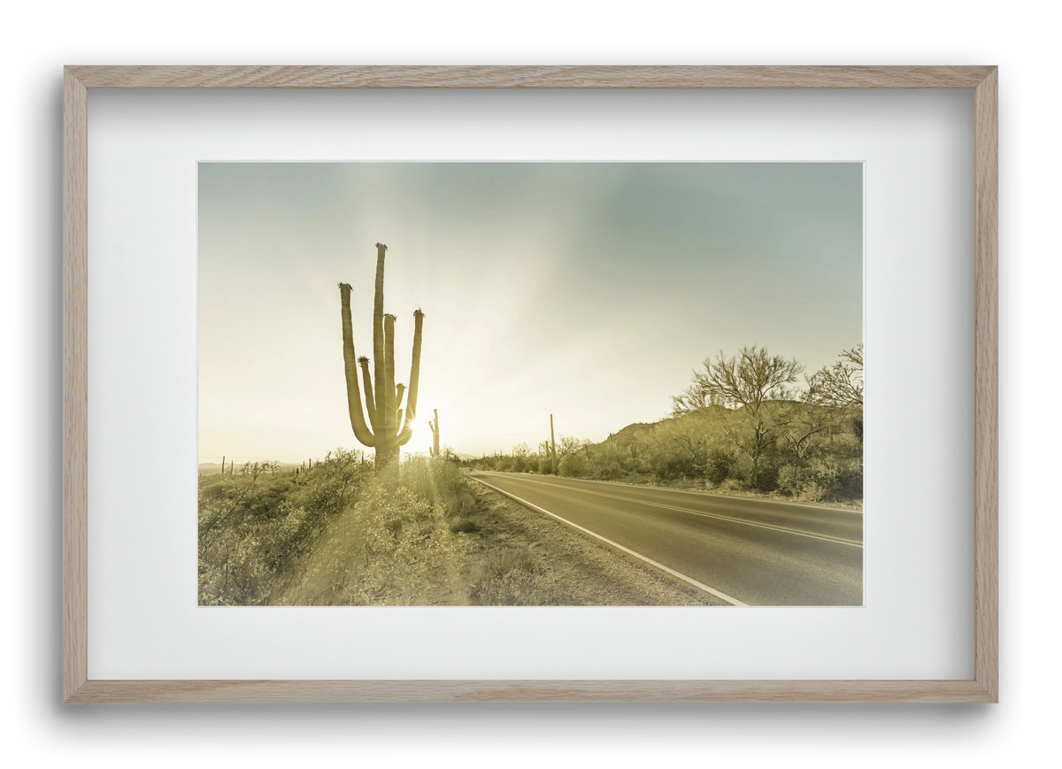 SAGUARO NATIONAL PARK Setting Sun | Vintage, 60x40 cm (45x30 cm), Tölgy keret, paszpartuval