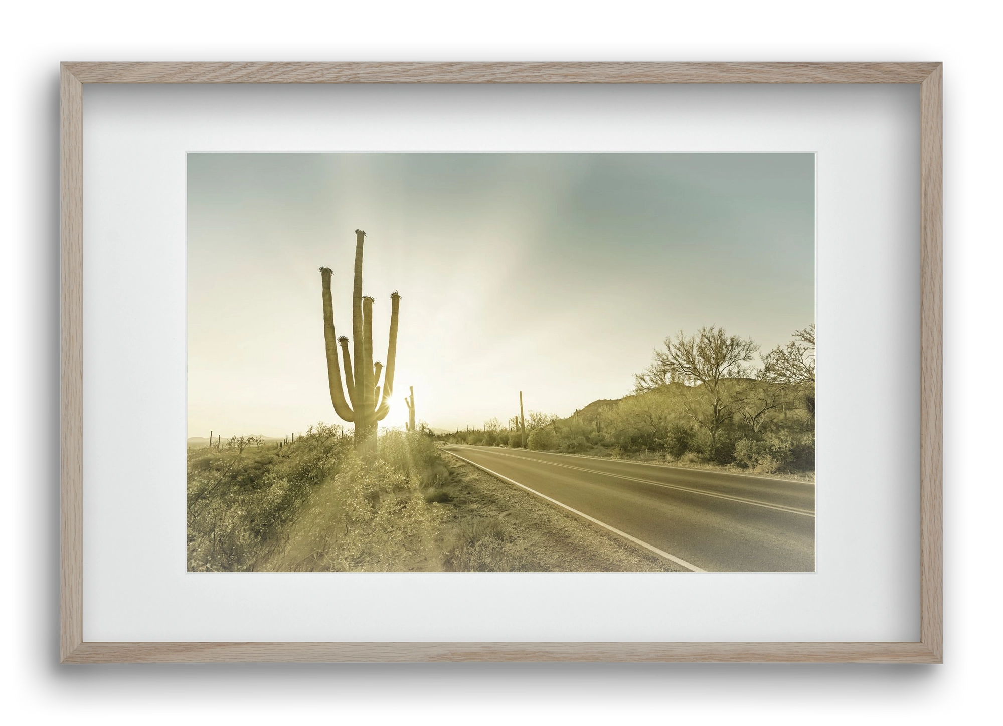 SAGUARO NATIONAL PARK Setting Sun | Vintage, 60x40 cm (45x30 cm), Tölgy keret, paszpartuval