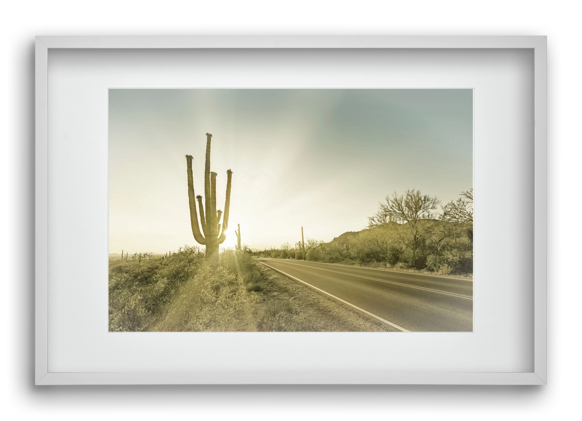 SAGUARO NATIONAL PARK Setting Sun | Vintage, 60x40 cm (45x30 cm), Fehér keret, paszpartuval