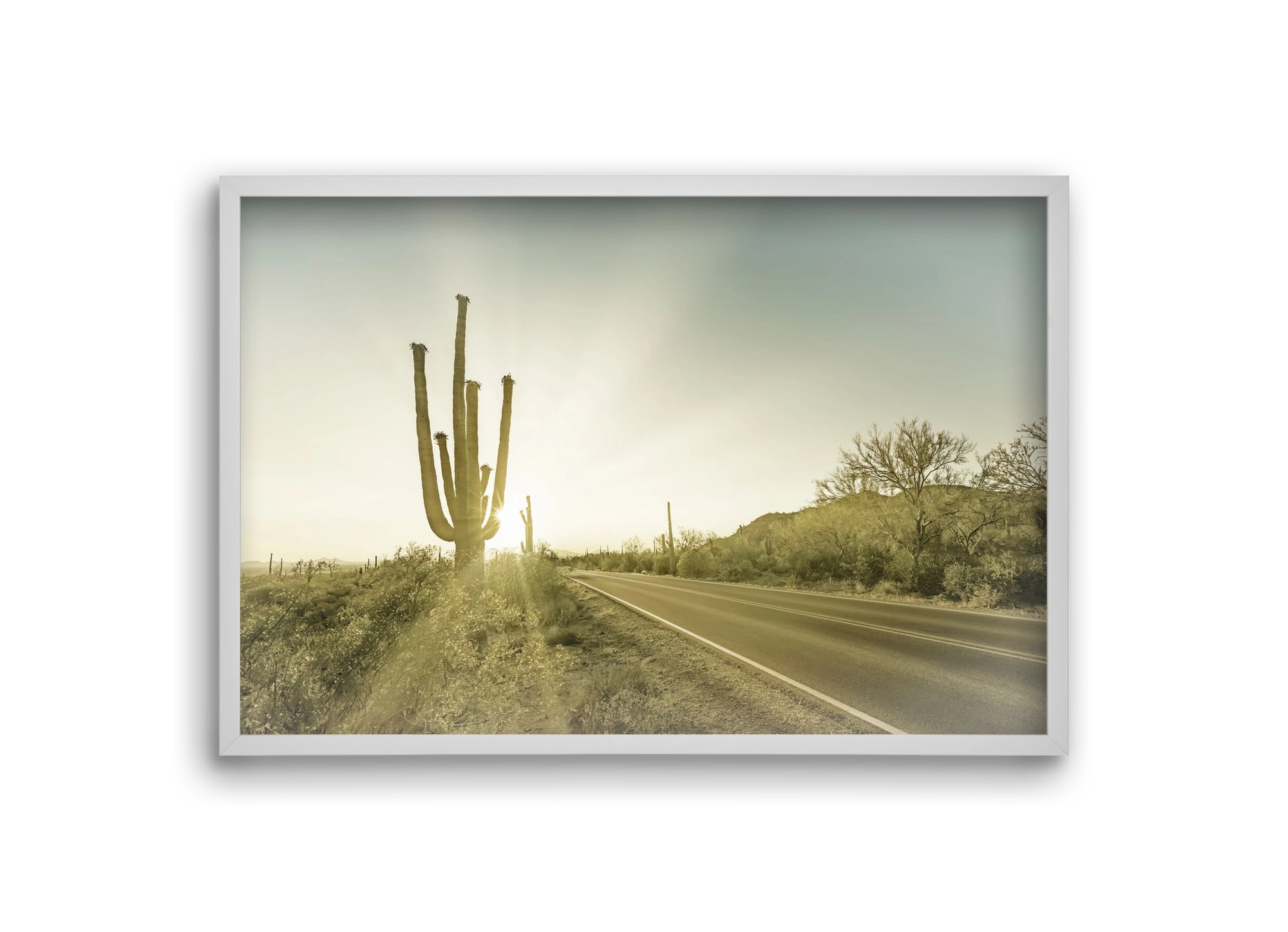SAGUARO NATIONAL PARK Setting Sun | Vintage, 30x20 cm (30x20 cm), Fehér keret