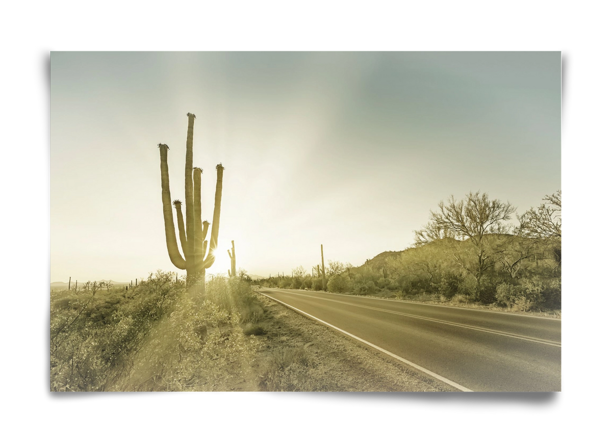 SAGUARO NATIONAL PARK Setting Sun | Vintage, 60x40 cm, Keret nélkül