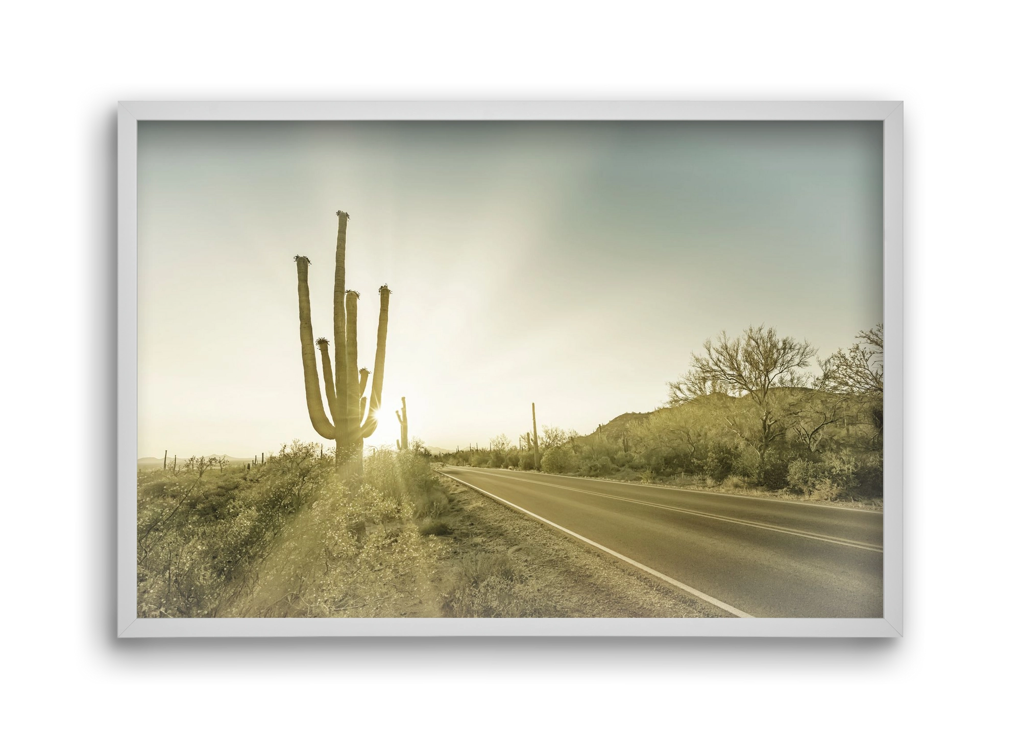 SAGUARO NATIONAL PARK Setting Sun | Vintage, 45x30 cm (45x30 cm), Fehér keret
