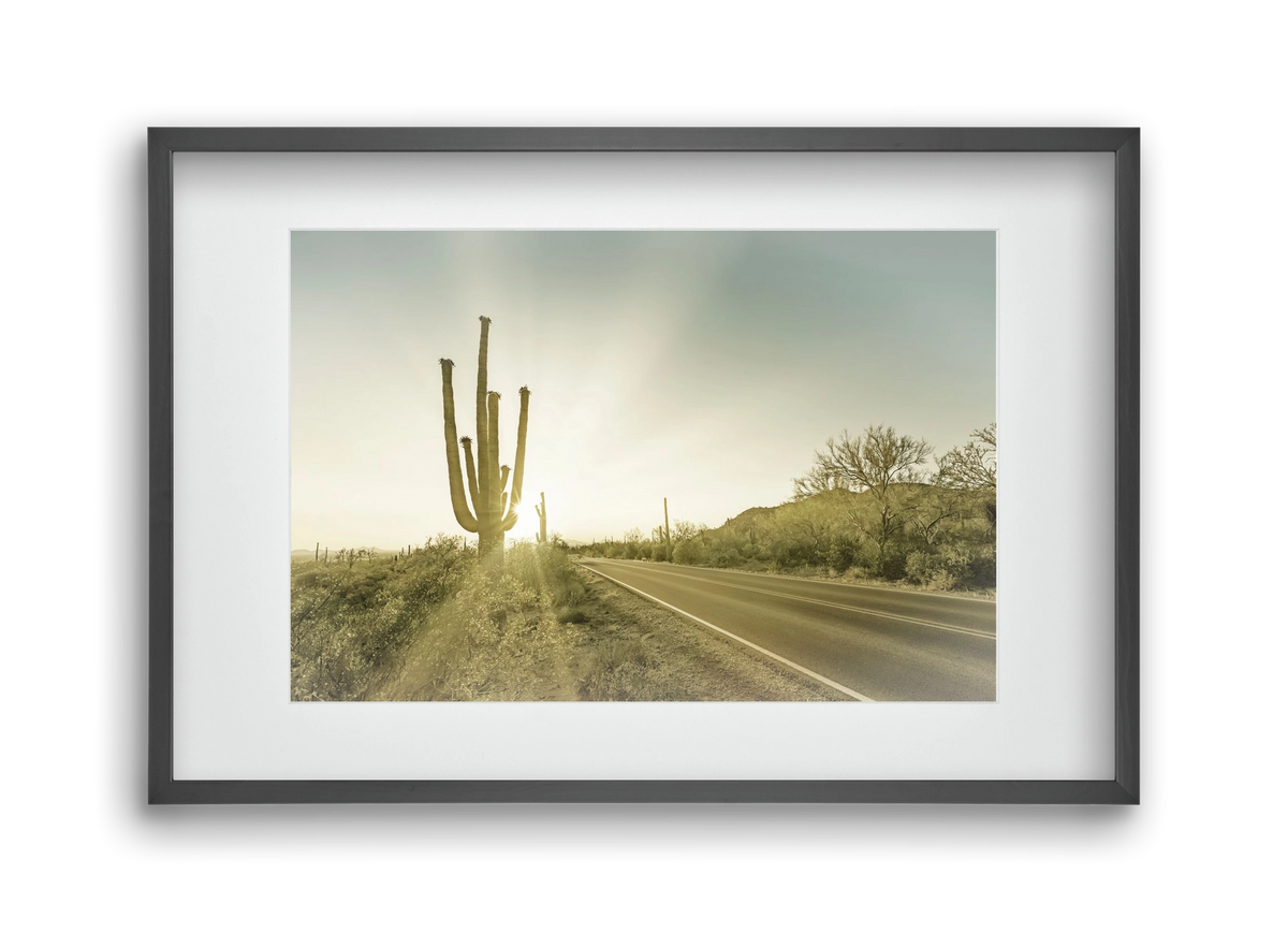 SAGUARO NATIONAL PARK Setting Sun | Vintage, 45x30 cm (30x20 cm), Fekete keret, paszpartuval