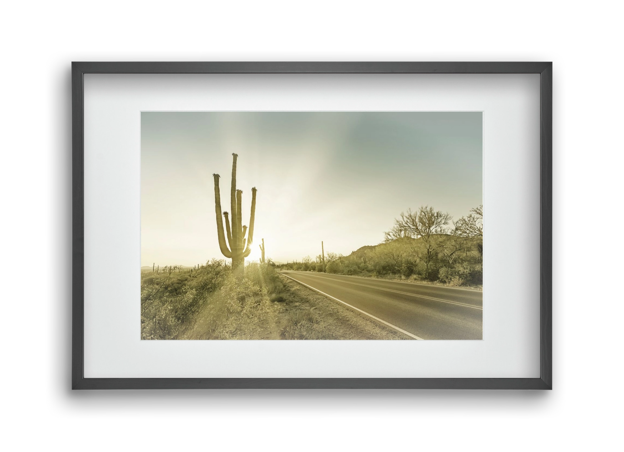 SAGUARO NATIONAL PARK Setting Sun | Vintage, 45x30 cm (30x20 cm), Fekete keret, paszpartuval