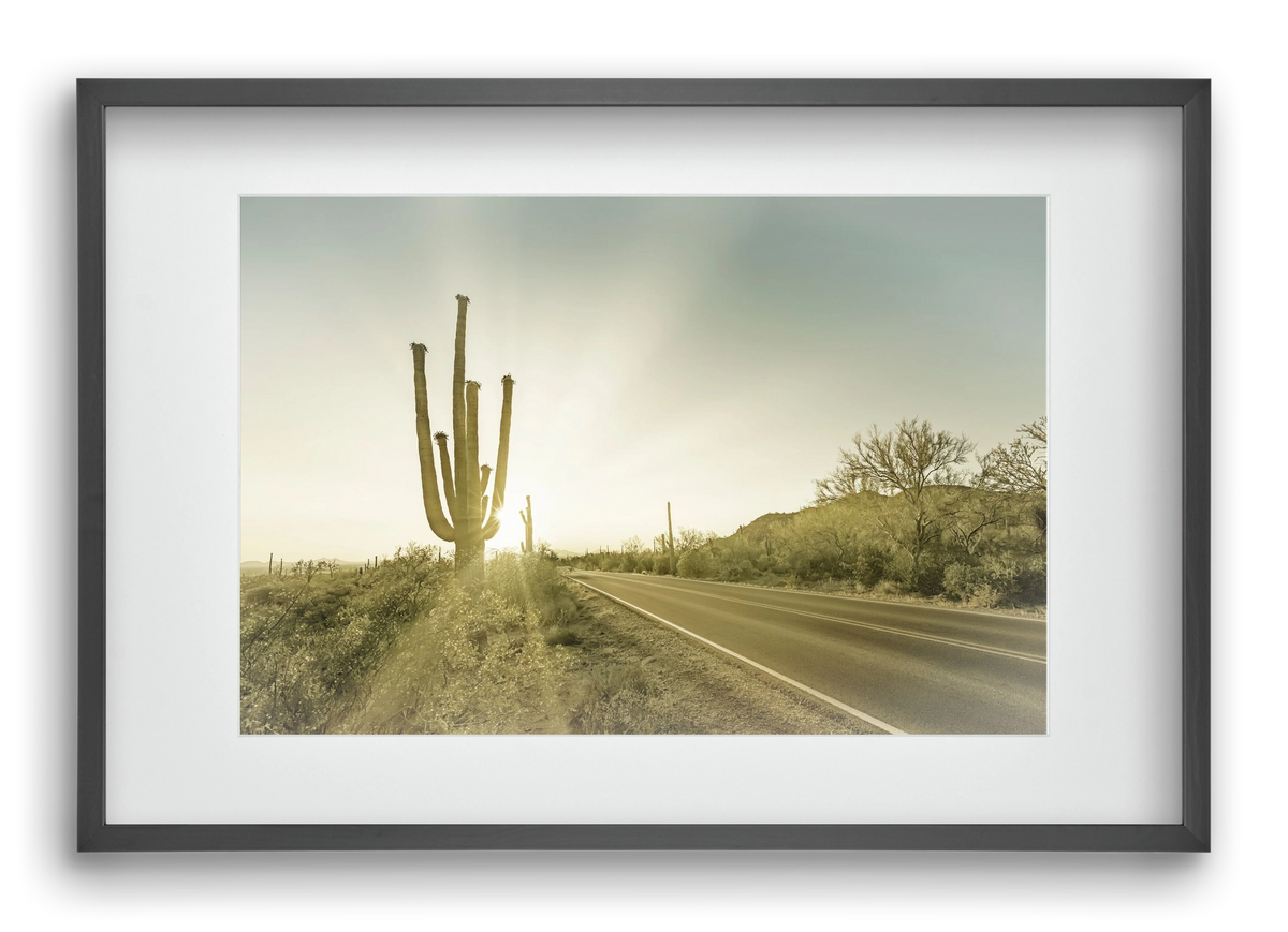 SAGUARO NATIONAL PARK Setting Sun | Vintage, 60x40 cm (45x30 cm), Fekete keret, paszpartuval