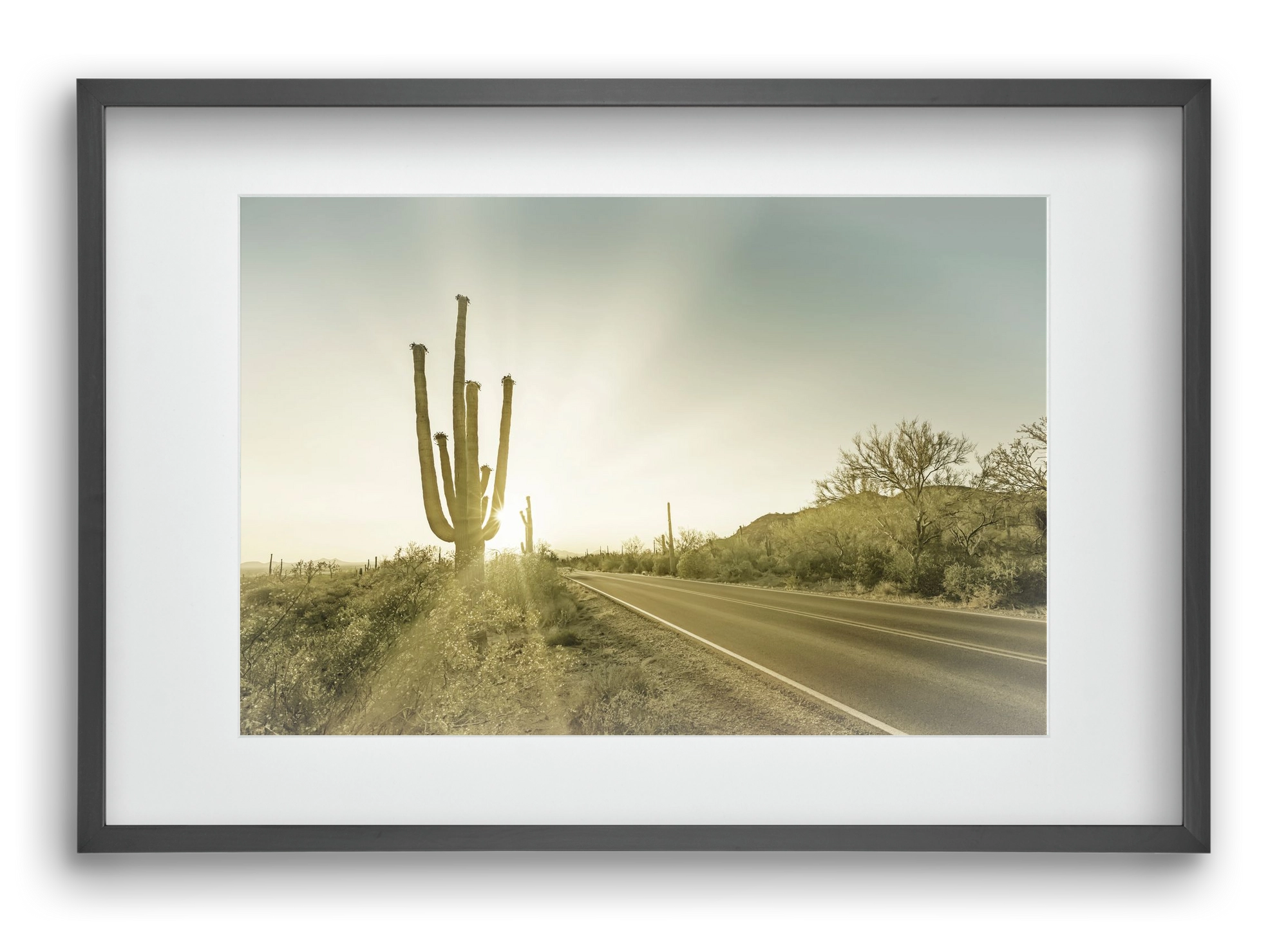 SAGUARO NATIONAL PARK Setting Sun | Vintage, 60x40 cm (45x30 cm), Fekete keret, paszpartuval