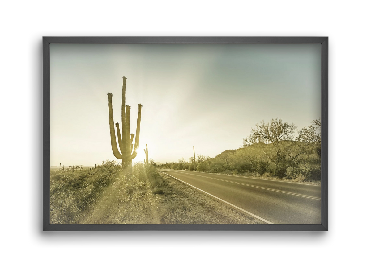 SAGUARO NATIONAL PARK Setting Sun | Vintage, 45x30 cm (45x30 cm), Fekete keret