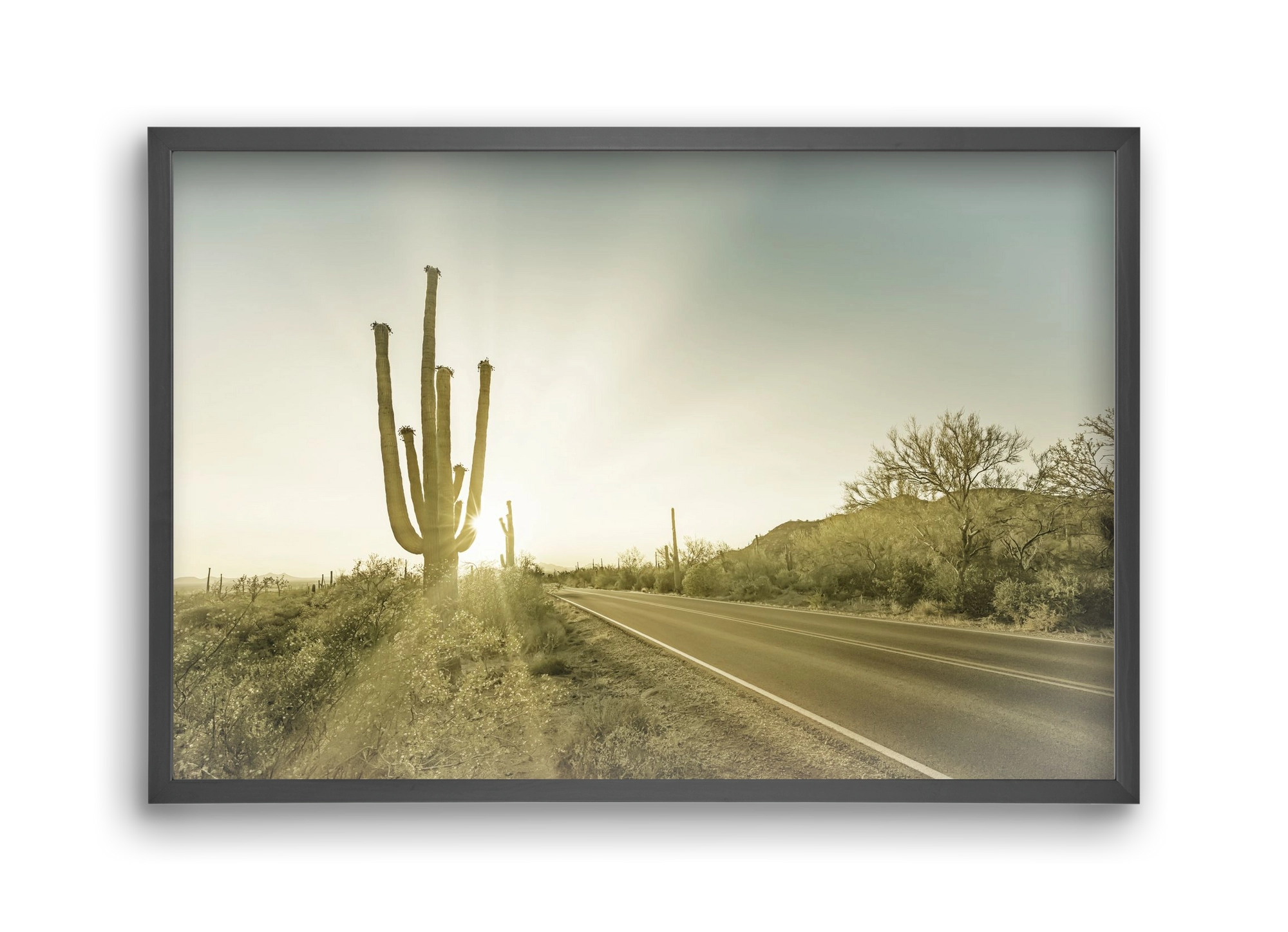 SAGUARO NATIONAL PARK Setting Sun | Vintage, 45x30 cm (45x30 cm), Fekete keret