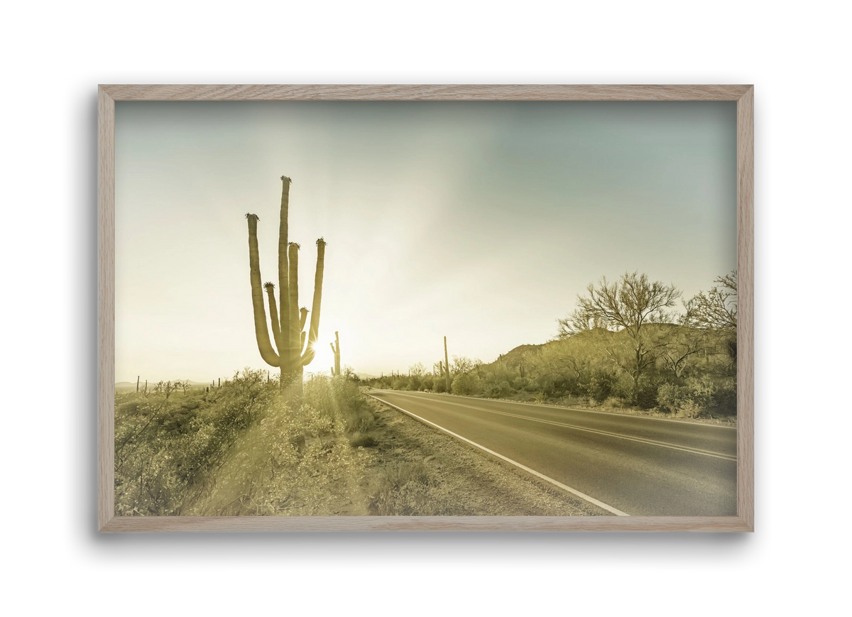 SAGUARO NATIONAL PARK Setting Sun | Vintage, 45x30 cm (45x30 cm), Tölgy keret