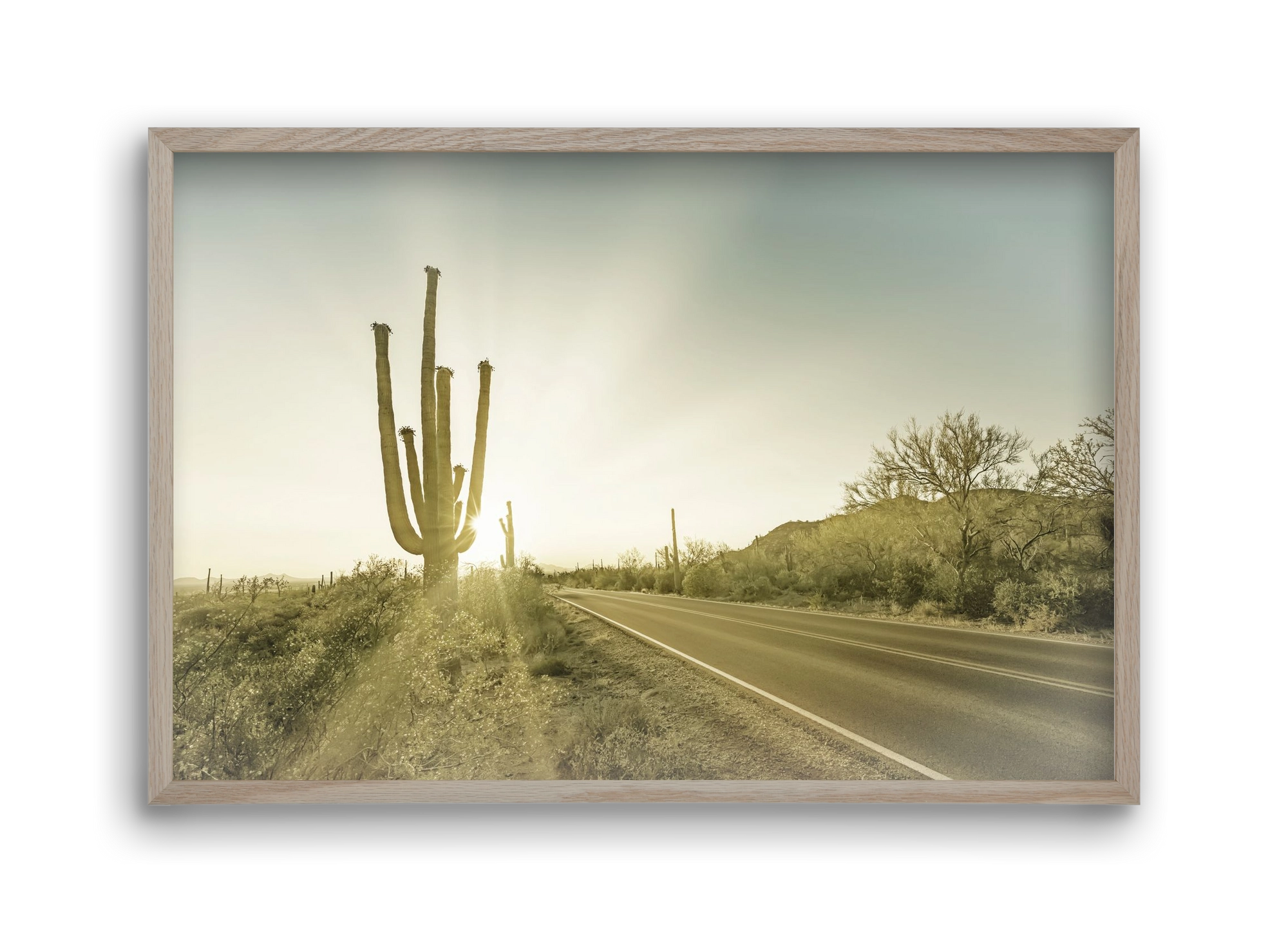 SAGUARO NATIONAL PARK Setting Sun | Vintage, 45x30 cm (45x30 cm), Tölgy keret
