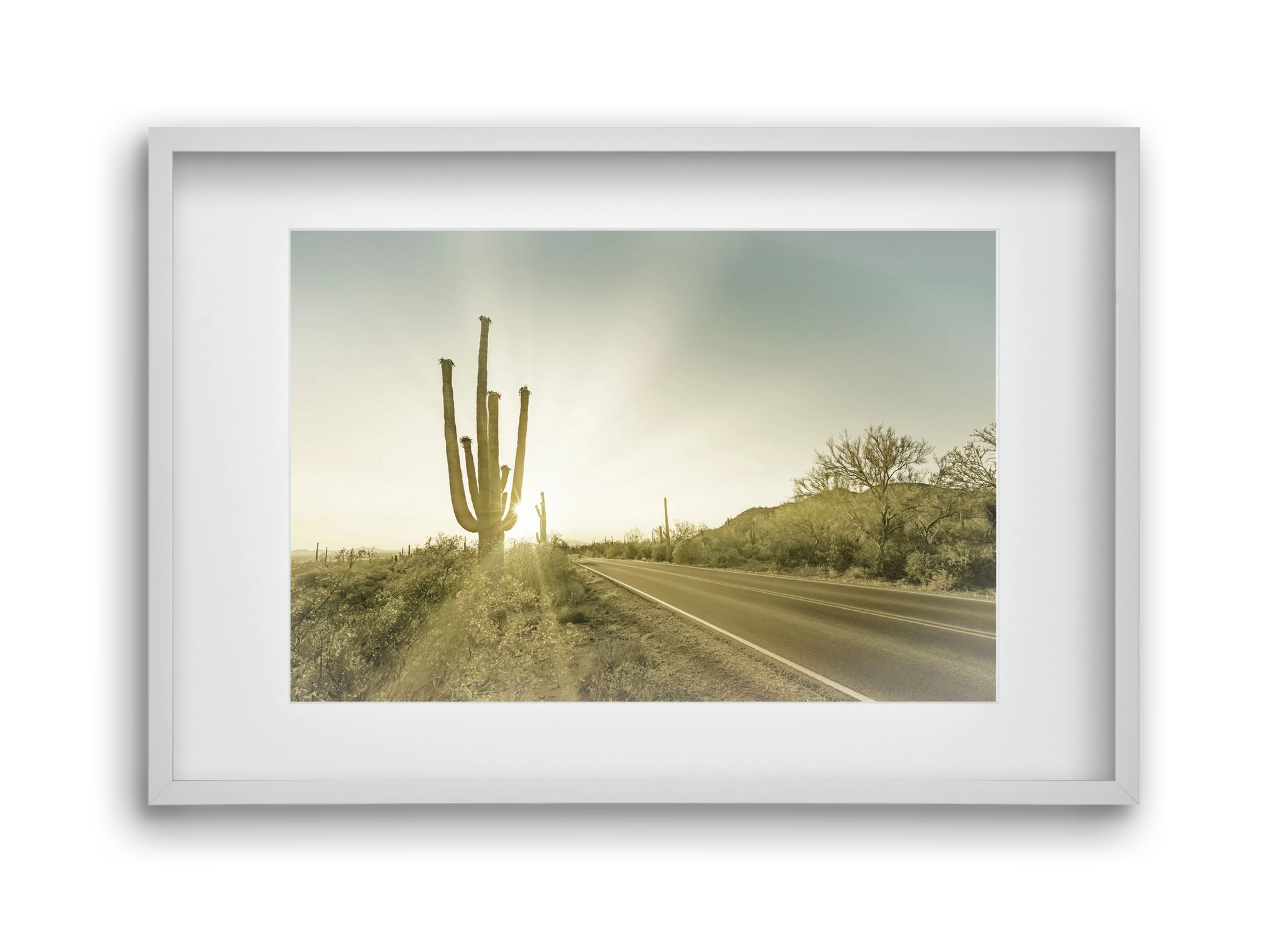 SAGUARO NATIONAL PARK Setting Sun | Vintage, 45x30 cm (30x20 cm), Fehér keret, paszpartuval