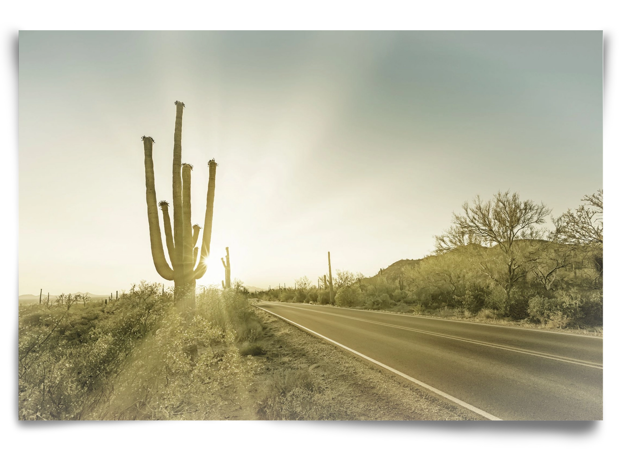 SAGUARO NATIONAL PARK Setting Sun | Vintage, 90x60 cm, Keret nélkül