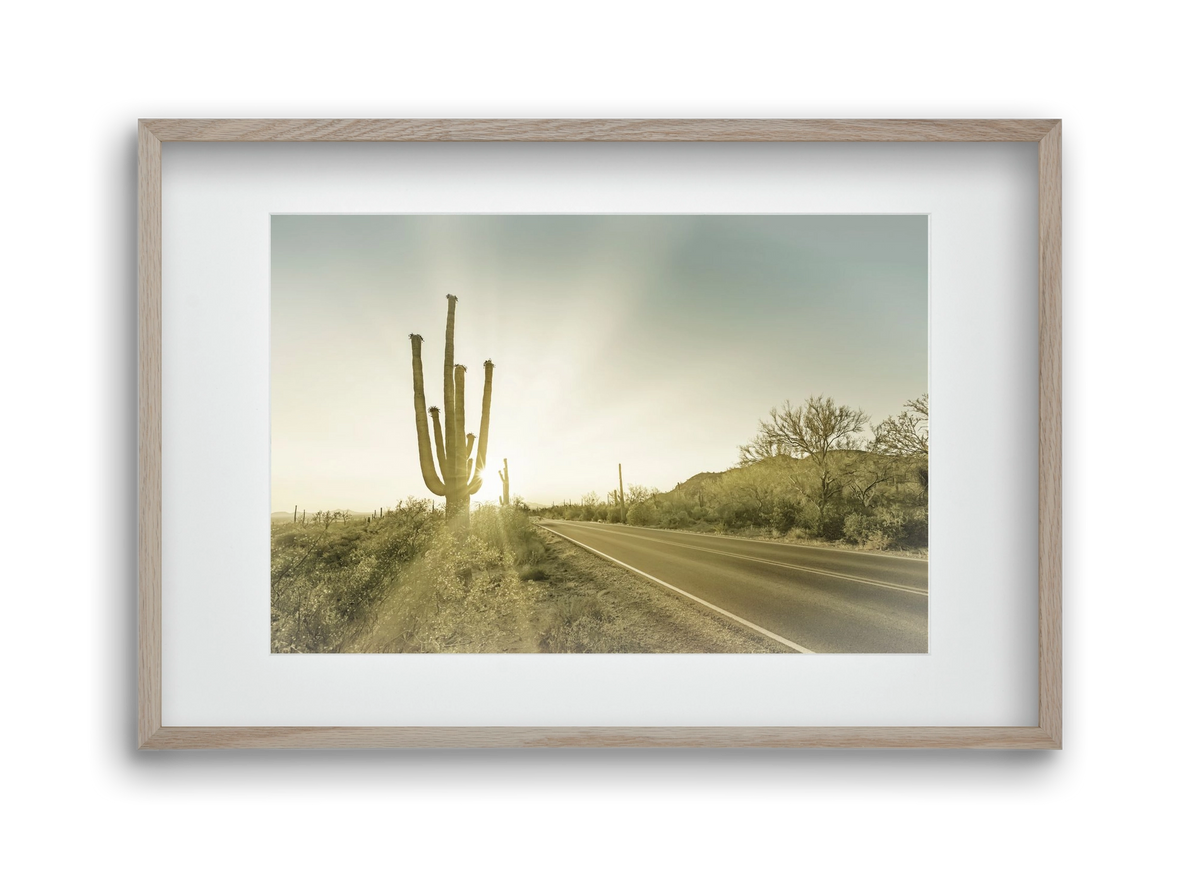 SAGUARO NATIONAL PARK Setting Sun | Vintage, 45x30 cm (30x20 cm), Tölgy keret, paszpartuval