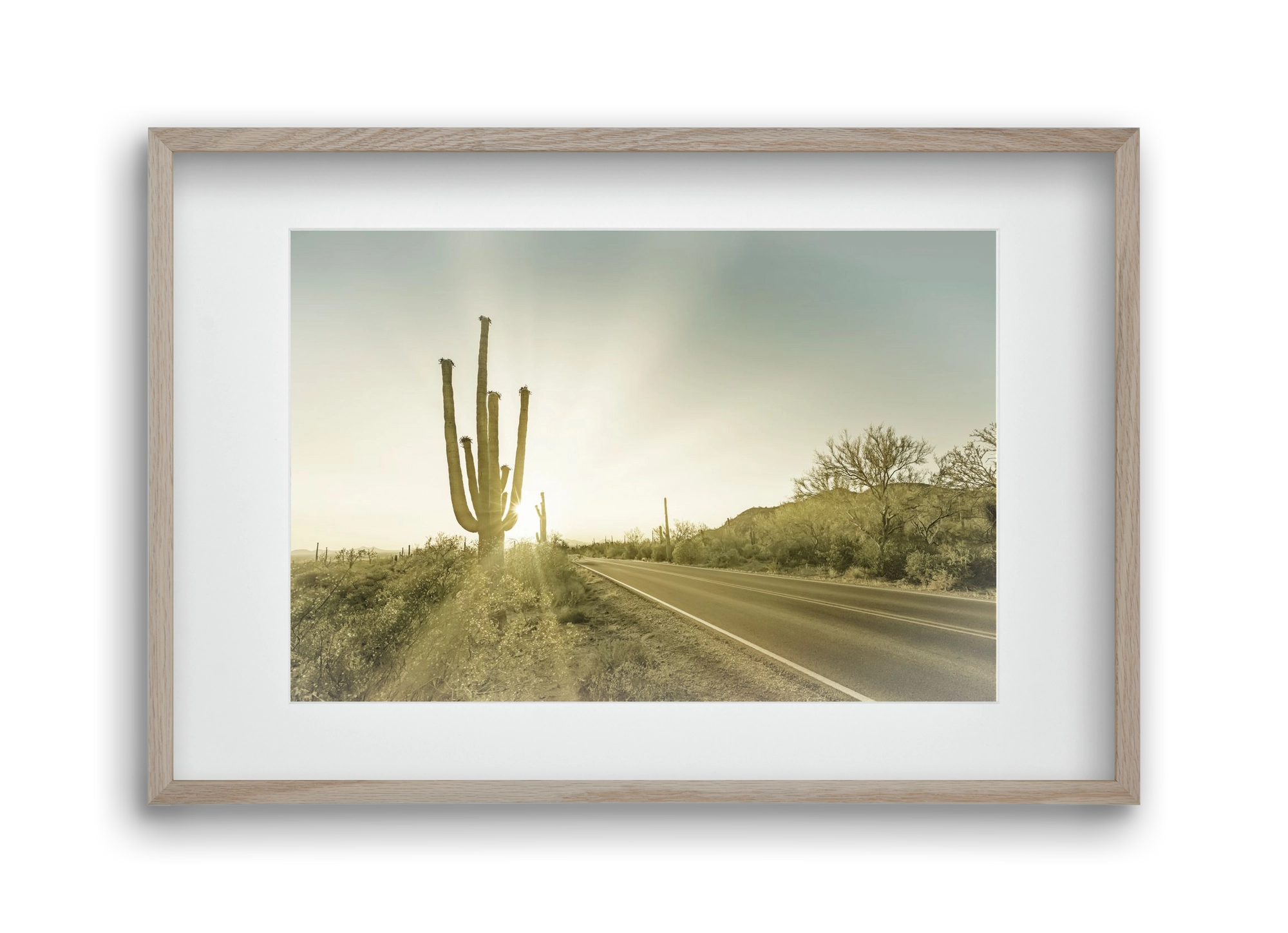 SAGUARO NATIONAL PARK Setting Sun | Vintage, 45x30 cm (30x20 cm), Tölgy keret, paszpartuval