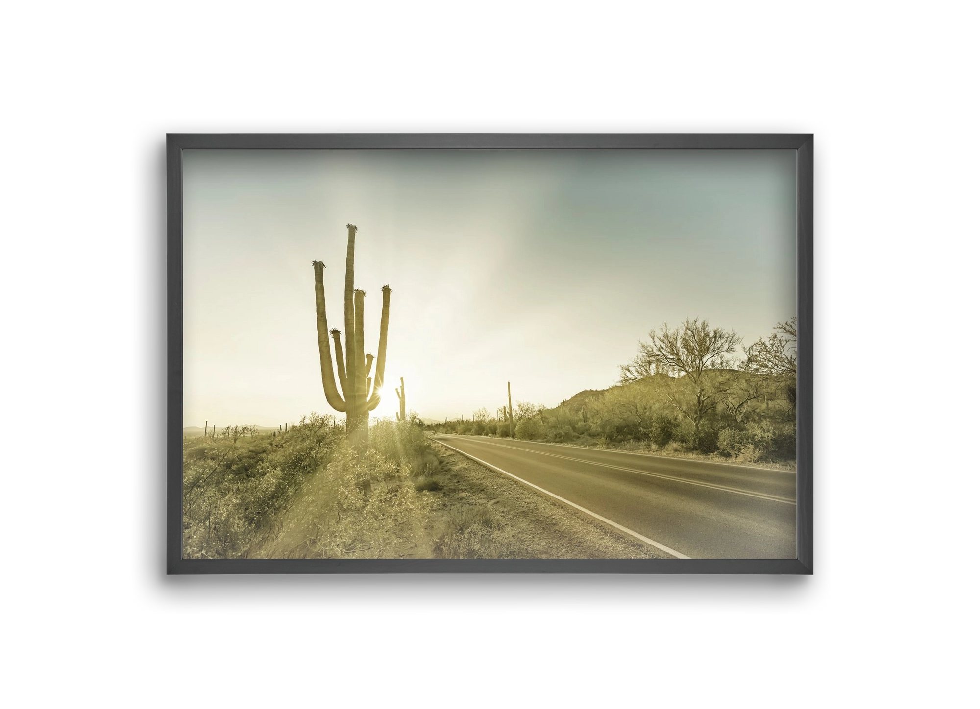 SAGUARO NATIONAL PARK Setting Sun | Vintage, 30x20 cm (30x20 cm), Fekete keret