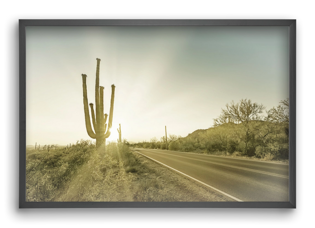 SAGUARO NATIONAL PARK Setting Sun | Vintage, 60x40 cm (60x40 cm), Fekete keret