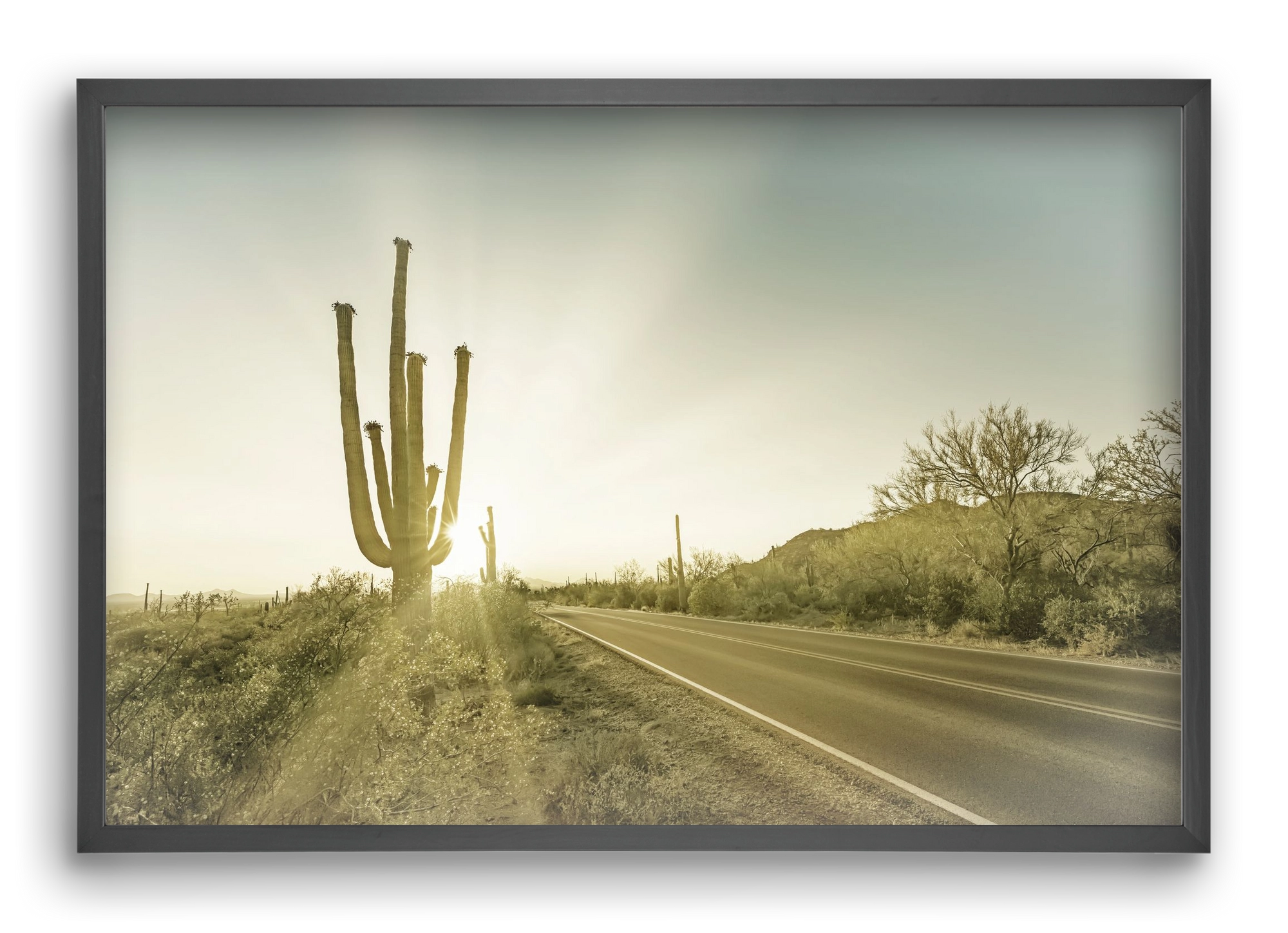 SAGUARO NATIONAL PARK Setting Sun | Vintage, 60x40 cm (60x40 cm), Fekete keret