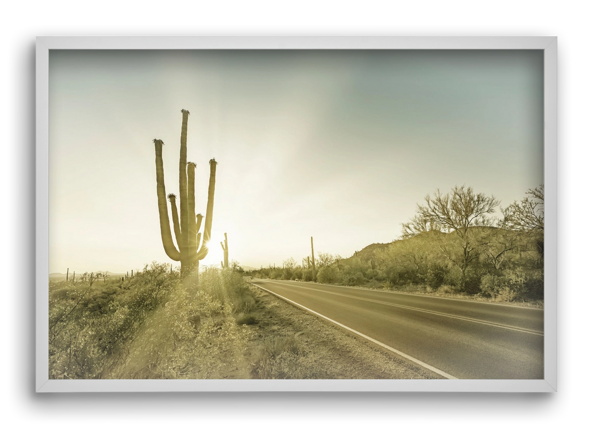 SAGUARO NATIONAL PARK Setting Sun | Vintage, 60x40 cm (60x40 cm), Fehér keret