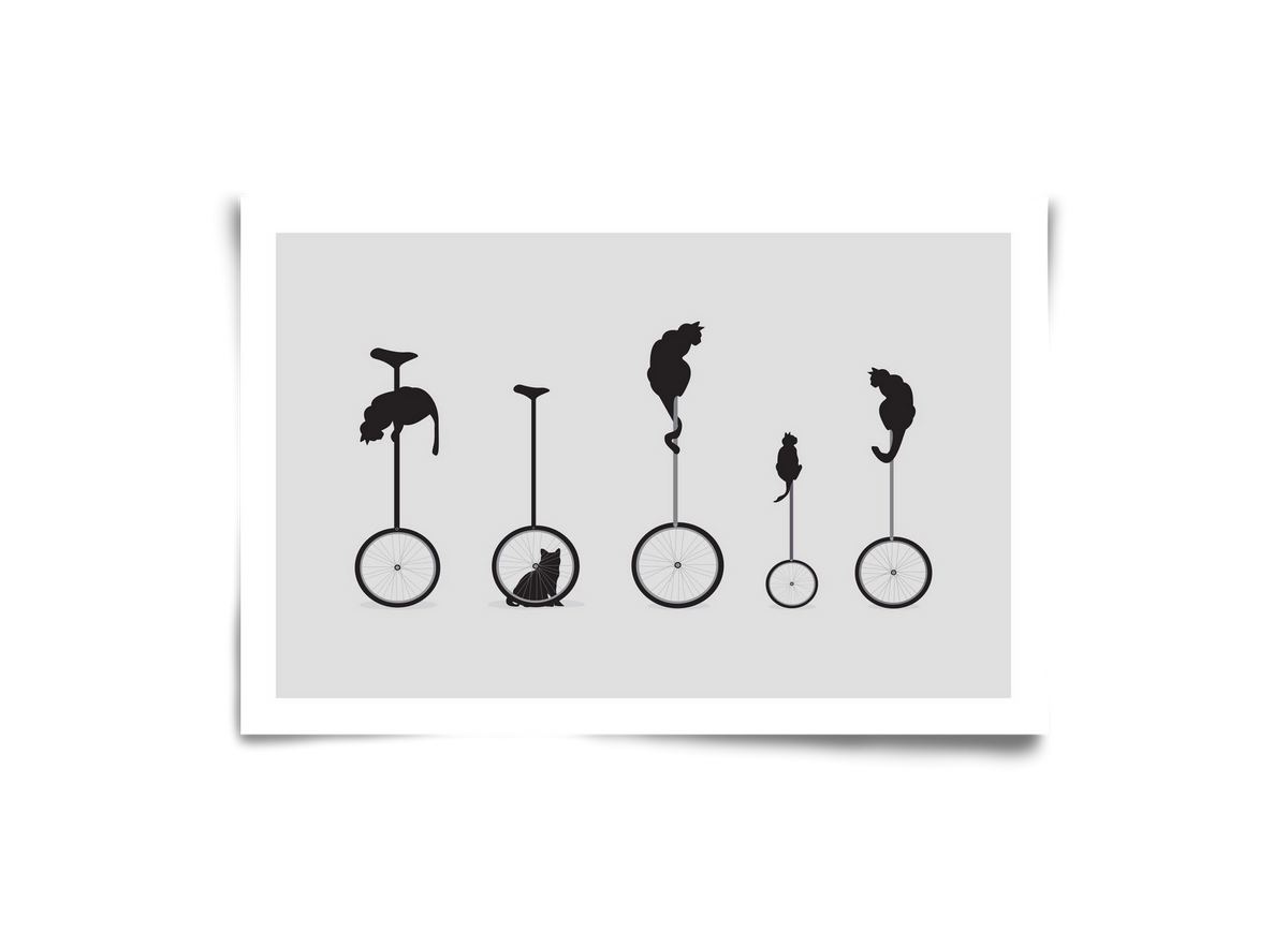 Cats, 30x20 cm, Keret nélkül