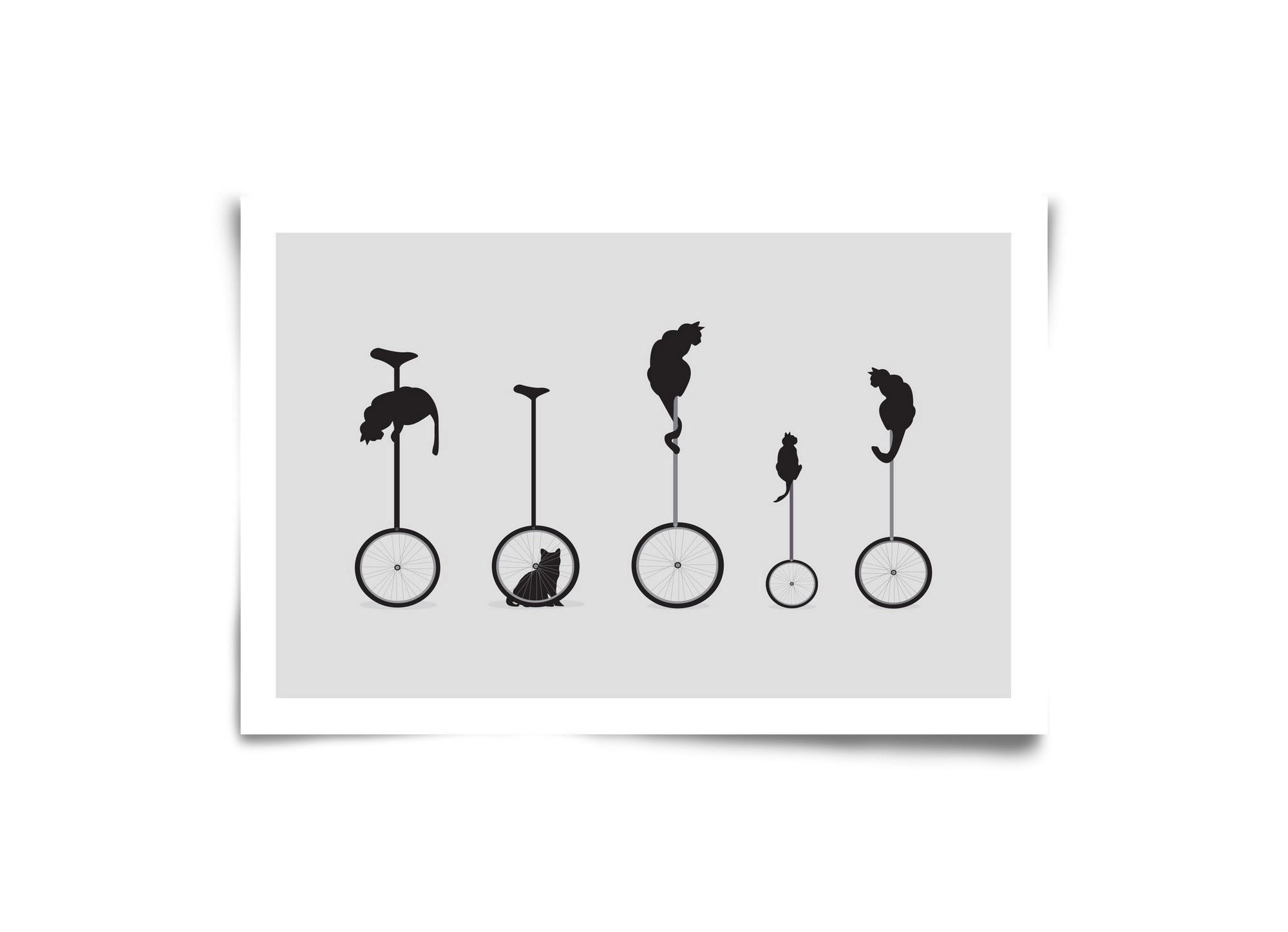 Cats, 30x20 cm, Keret nélkül