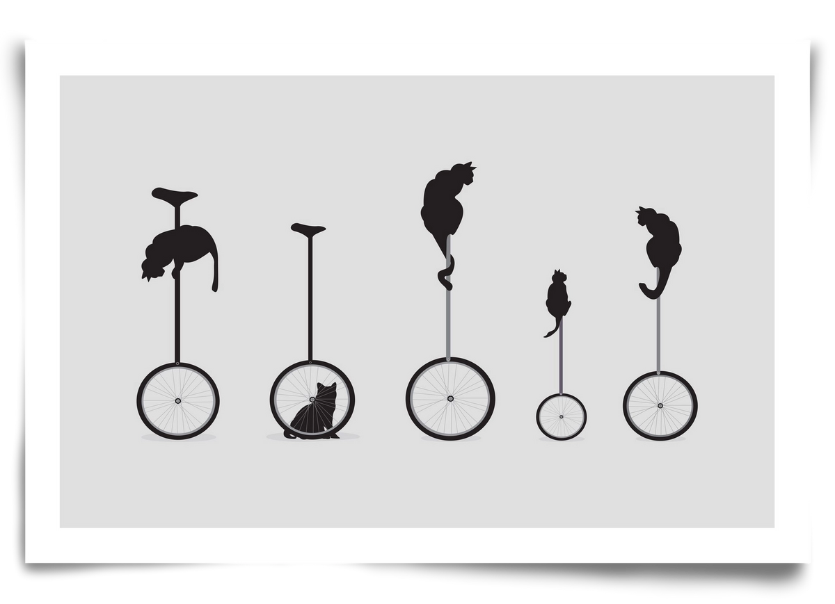 Cats, 90x60 cm, Keret nélkül