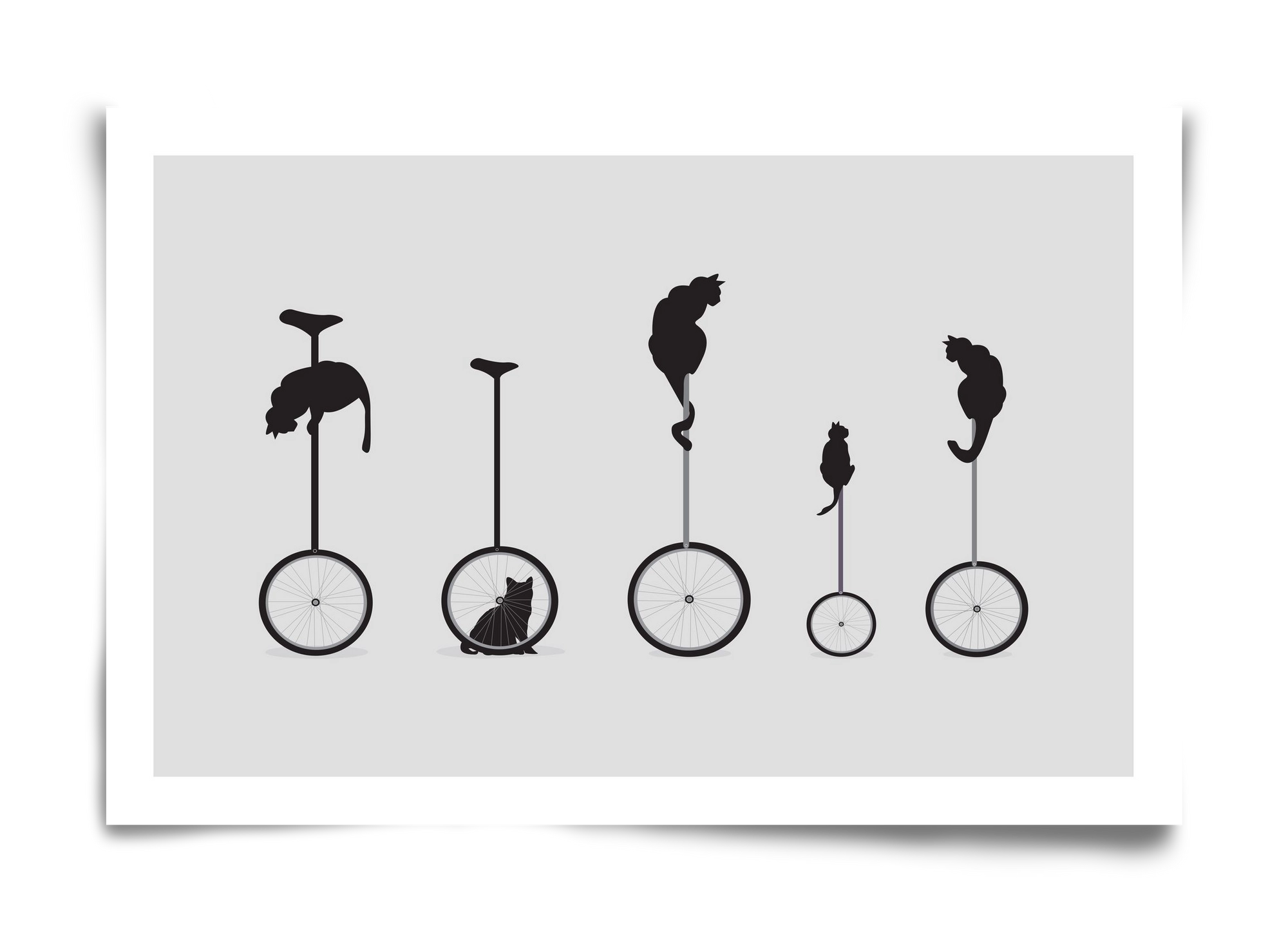 Cats, 60x40 cm, Keret nélkül