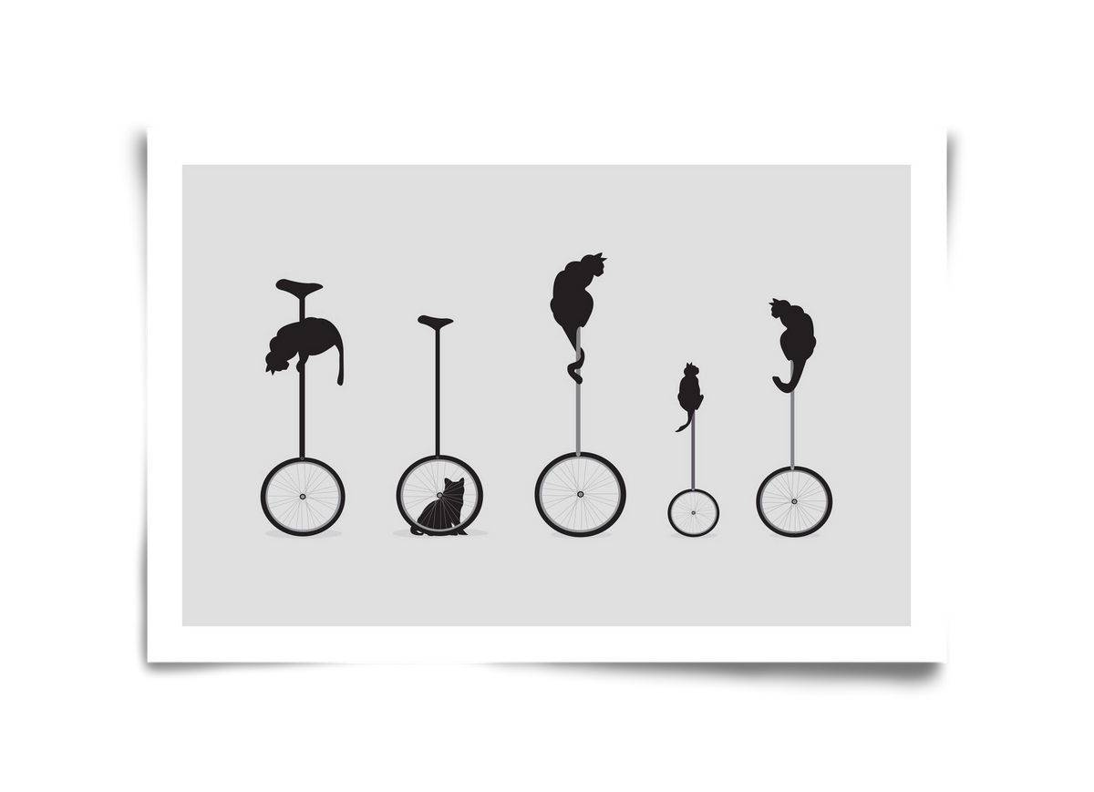 Cats, 45x30 cm, Keret nélkül