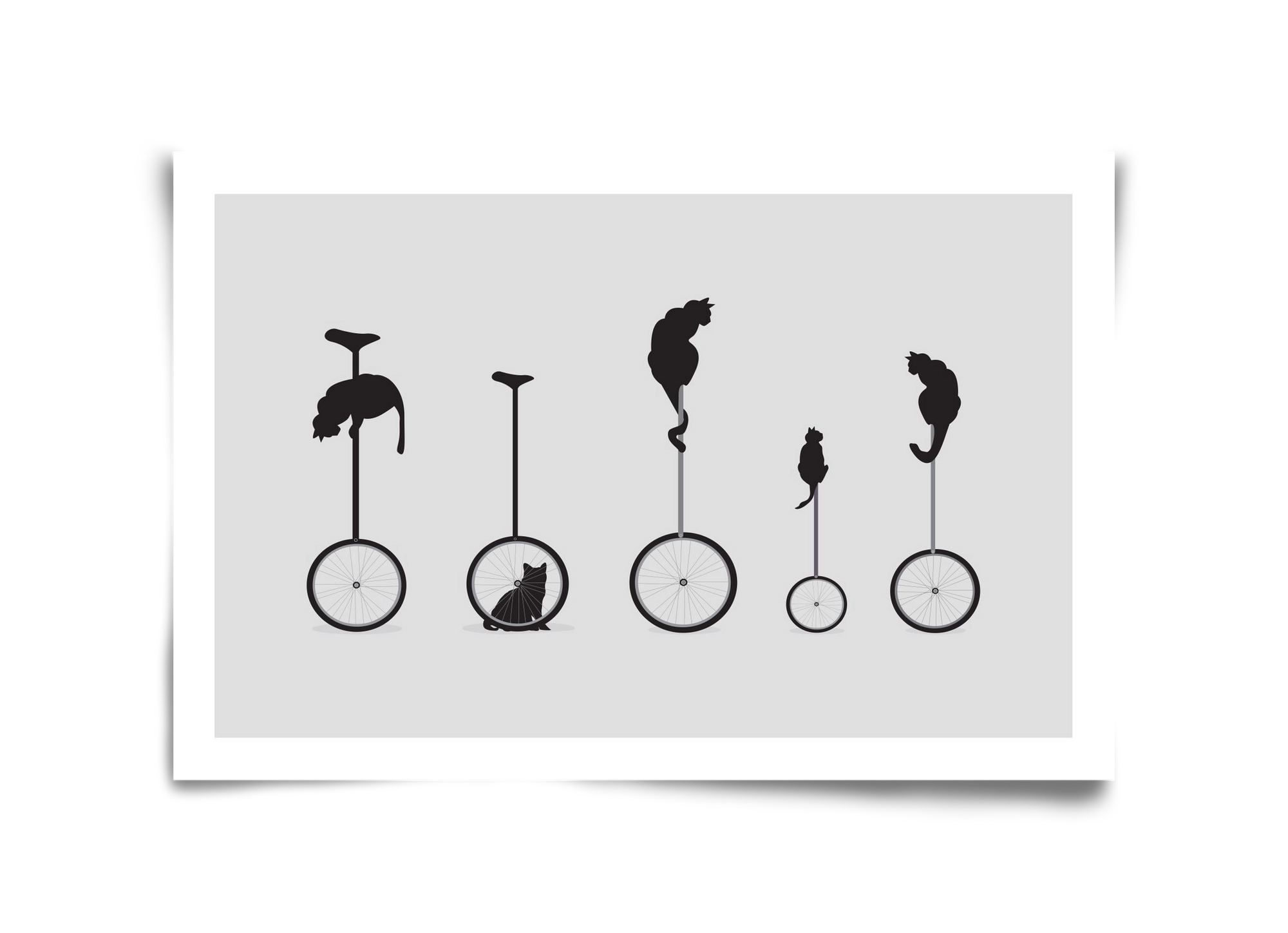 Cats, 45x30 cm, Keret nélkül