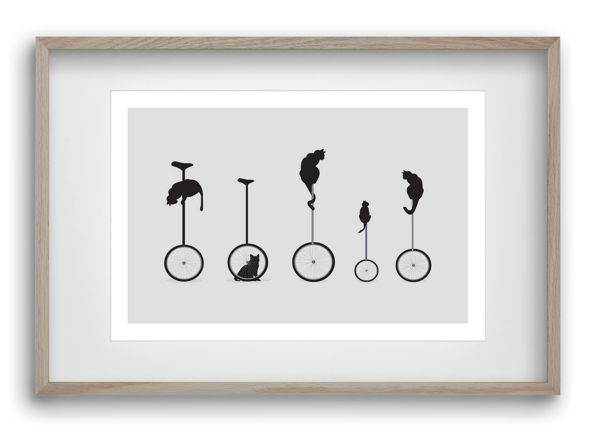 Cats, 60x40 cm (45x30 cm), Tölgy keret, paszpartuval