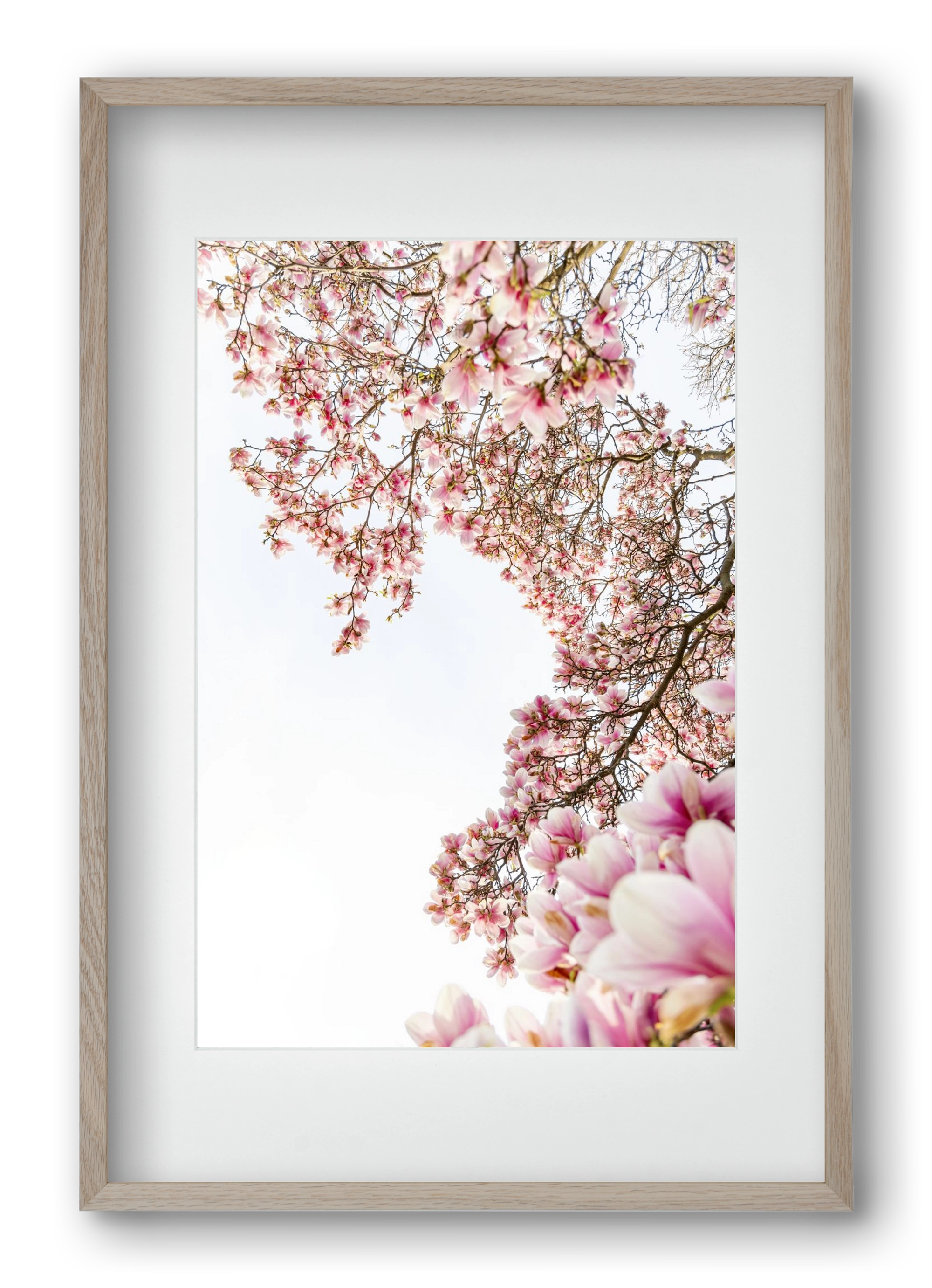 hello SPRING, 40x60 cm (30x45 cm), Tölgy keret, paszpartuval