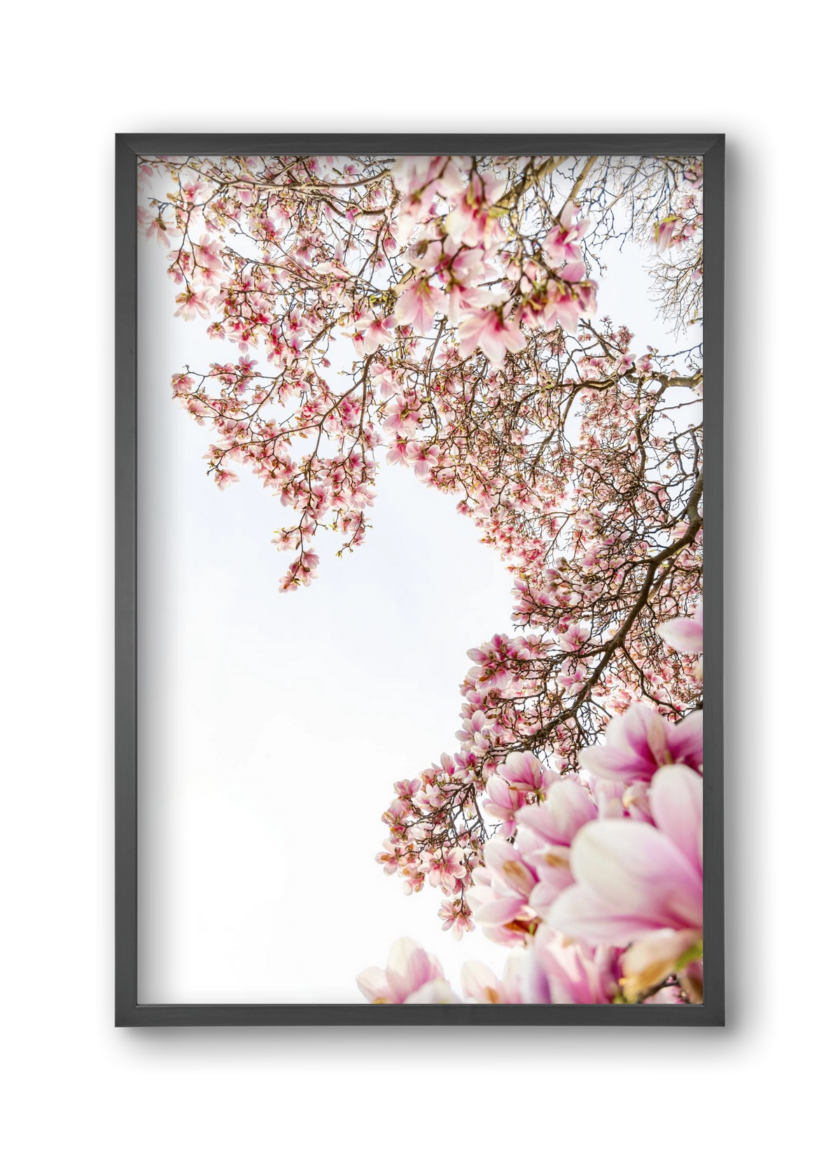 hello SPRING, 30x45 cm (30x45 cm), Fekete keret