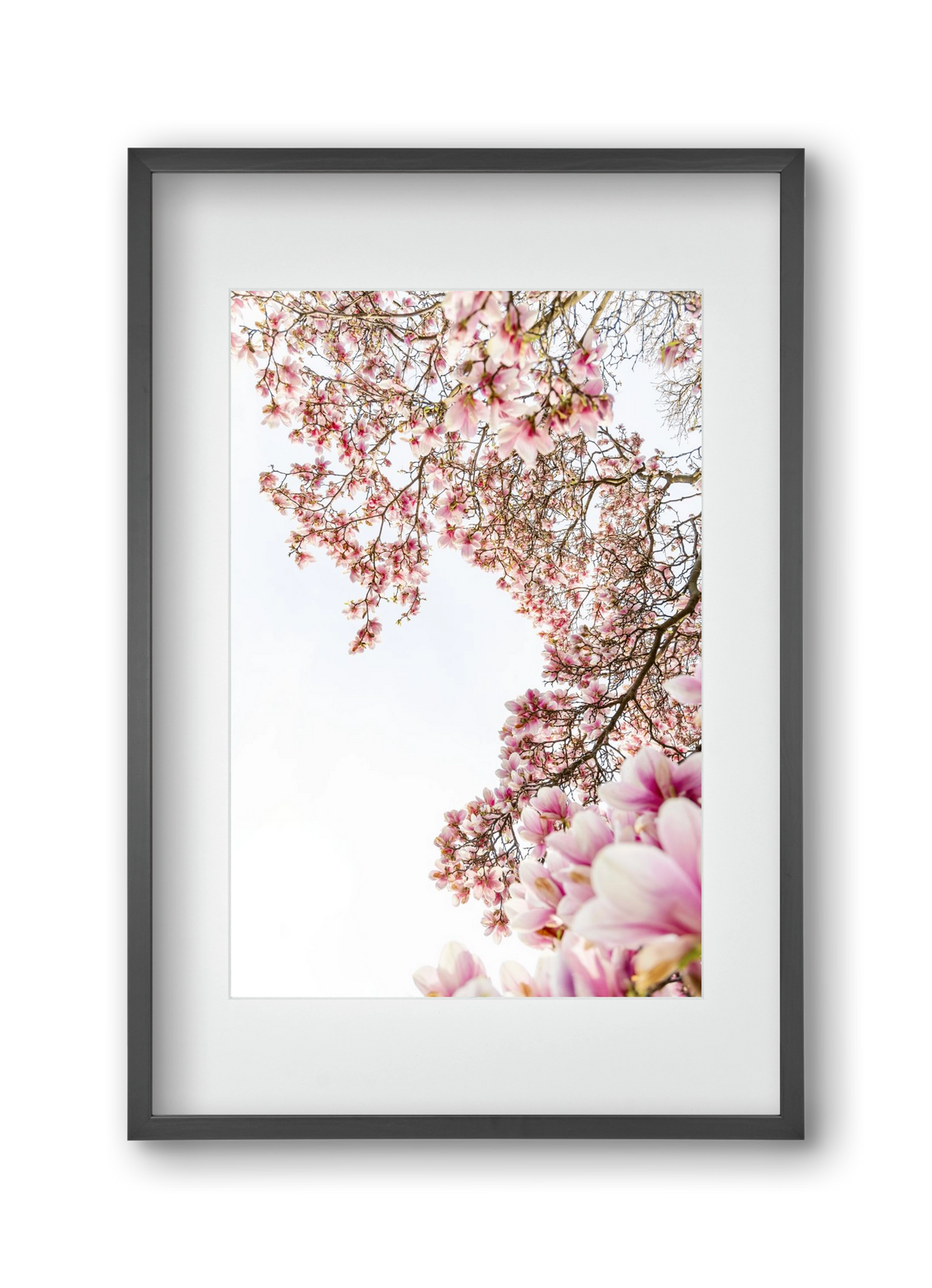 hello SPRING, 30x45 cm (20x30 cm), Fekete keret, paszpartuval