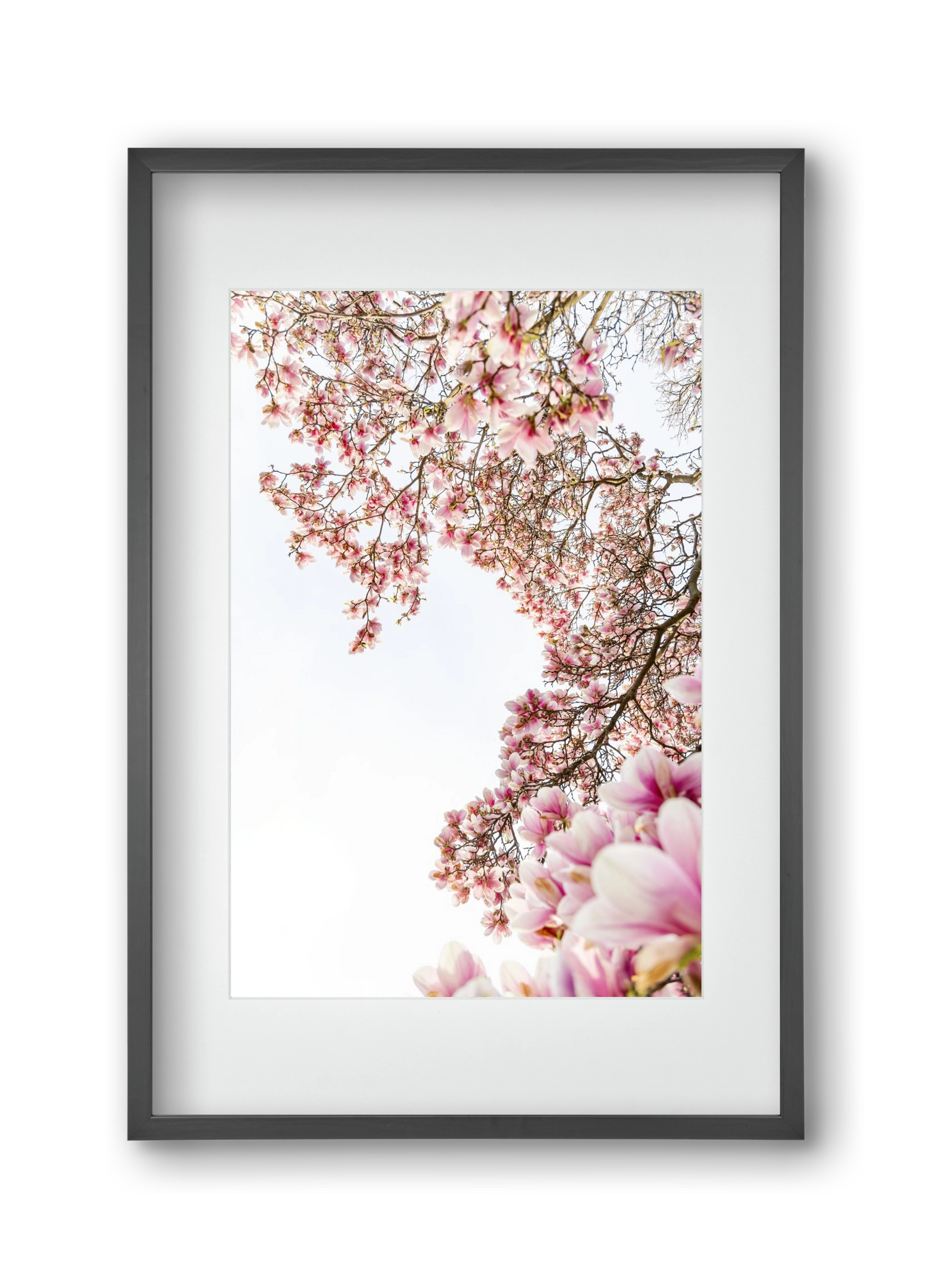 hello SPRING, 30x45 cm (20x30 cm), Fekete keret, paszpartuval