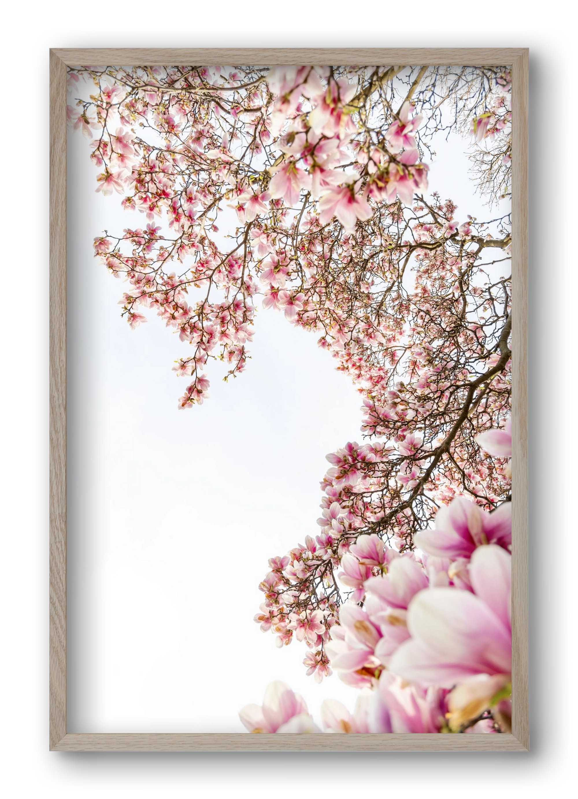 hello SPRING, 40x60 cm (40x60 cm), Tölgy keret