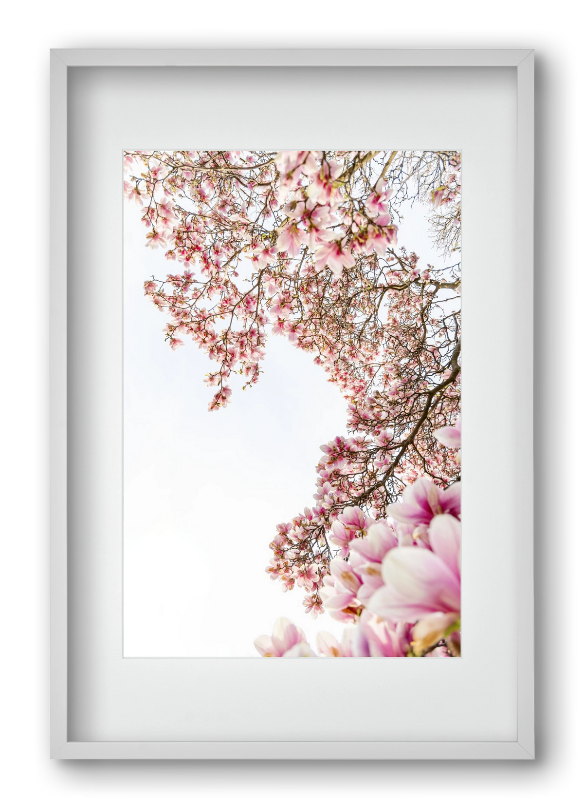 hello SPRING, 40x60 cm (30x45 cm), Fehér keret, paszpartuval