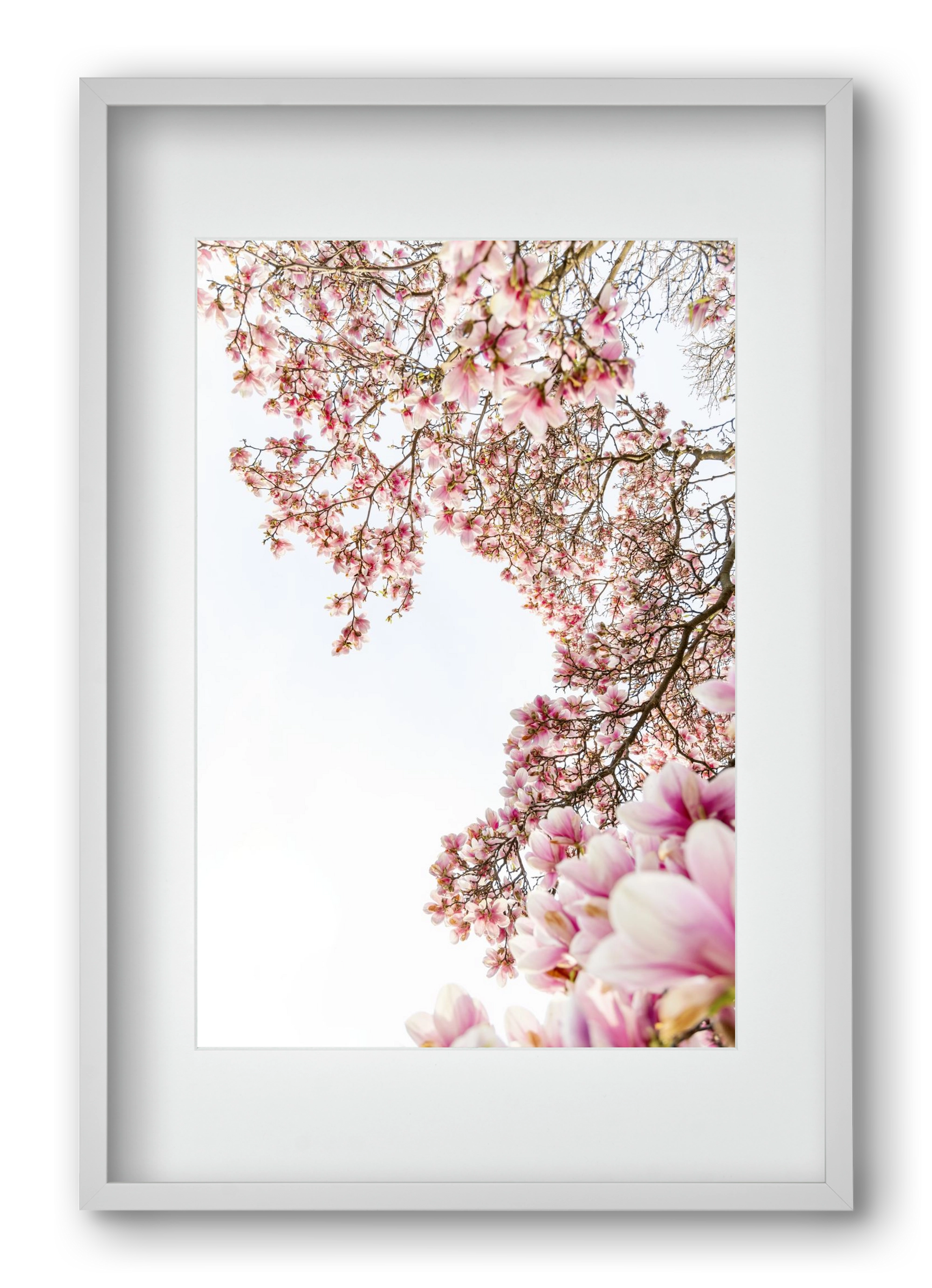 hello SPRING, 40x60 cm (30x45 cm), Fehér keret, paszpartuval