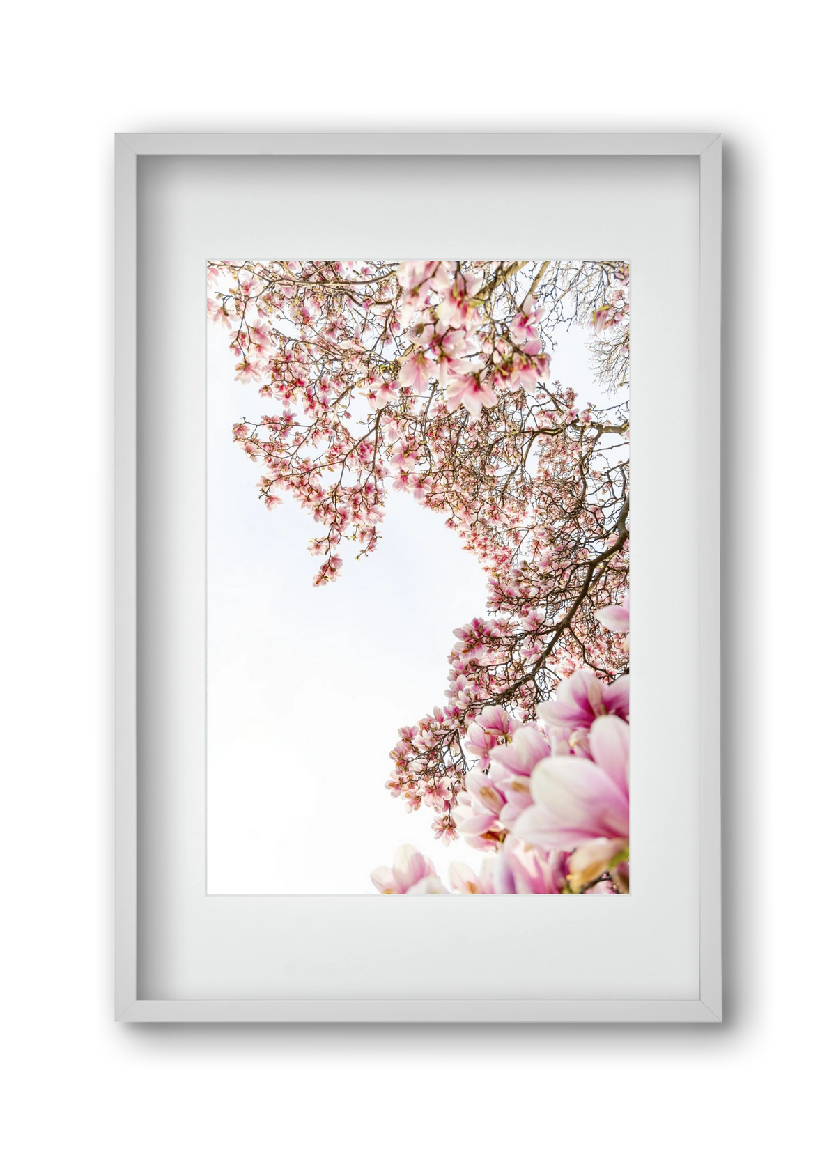 hello SPRING, 30x45 cm (20x30 cm), Fehér keret, paszpartuval