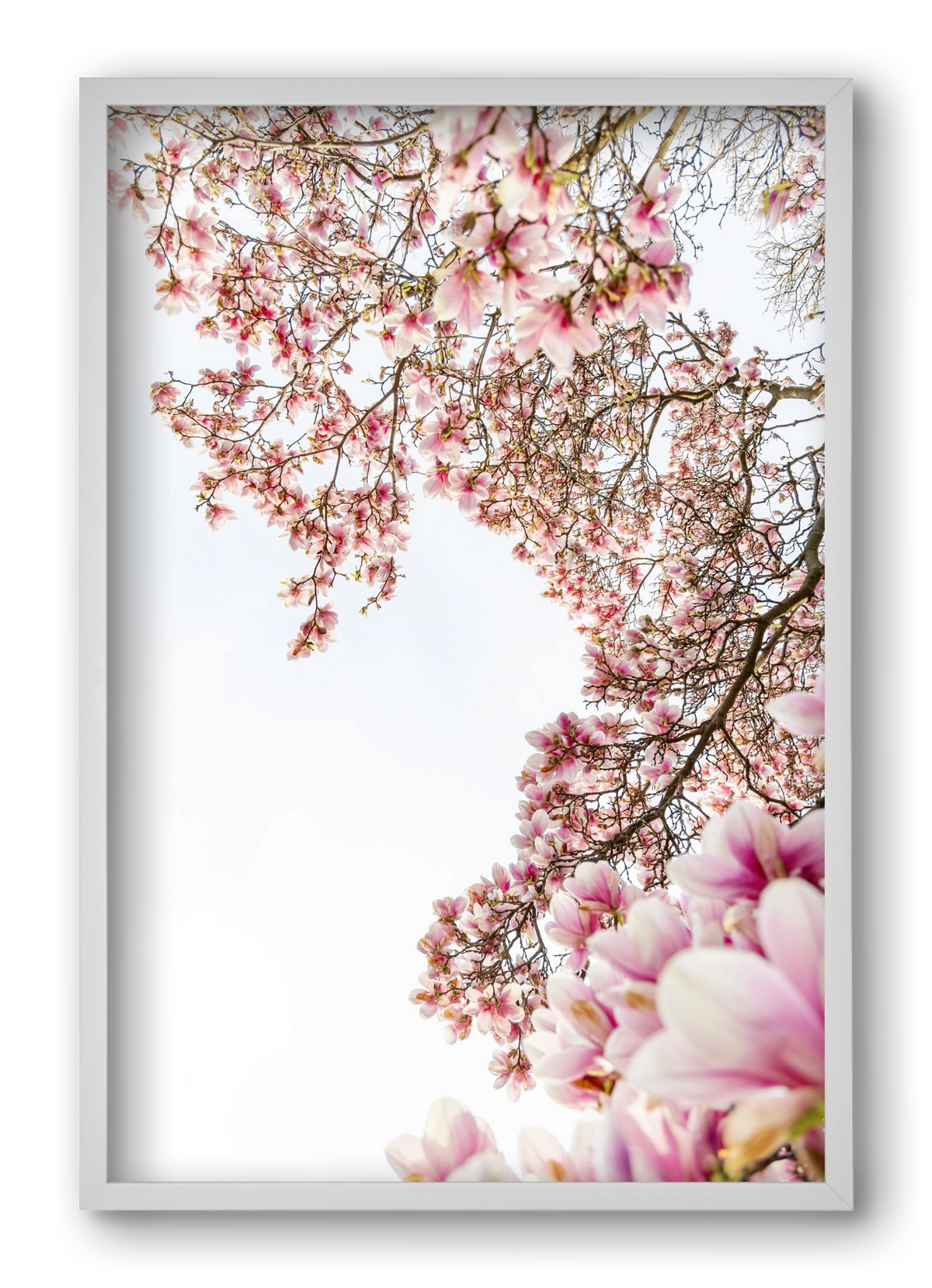 hello SPRING, 40x60 cm (40x60 cm), Fehér keret