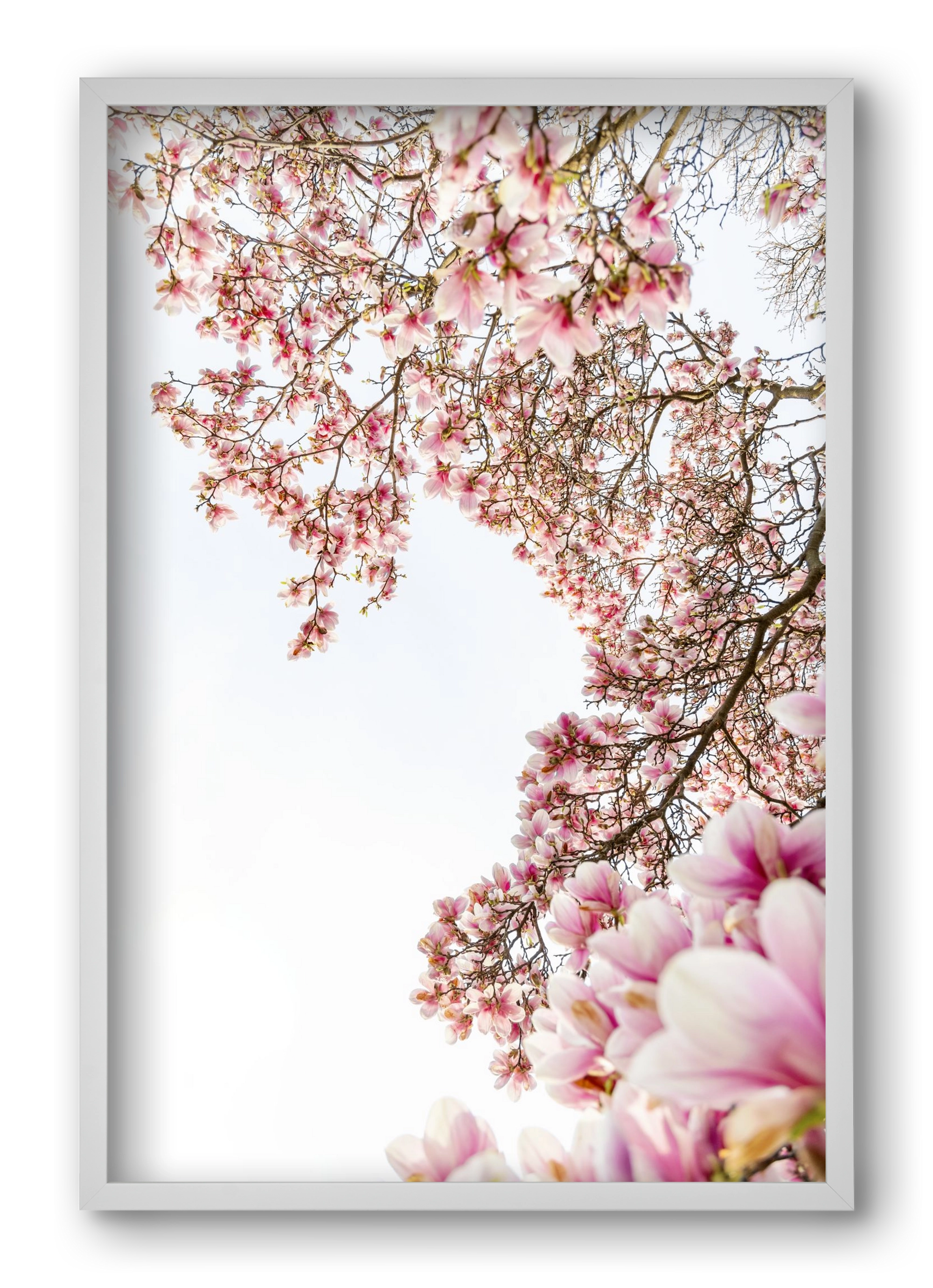 hello SPRING, 40x60 cm (40x60 cm), Fehér keret