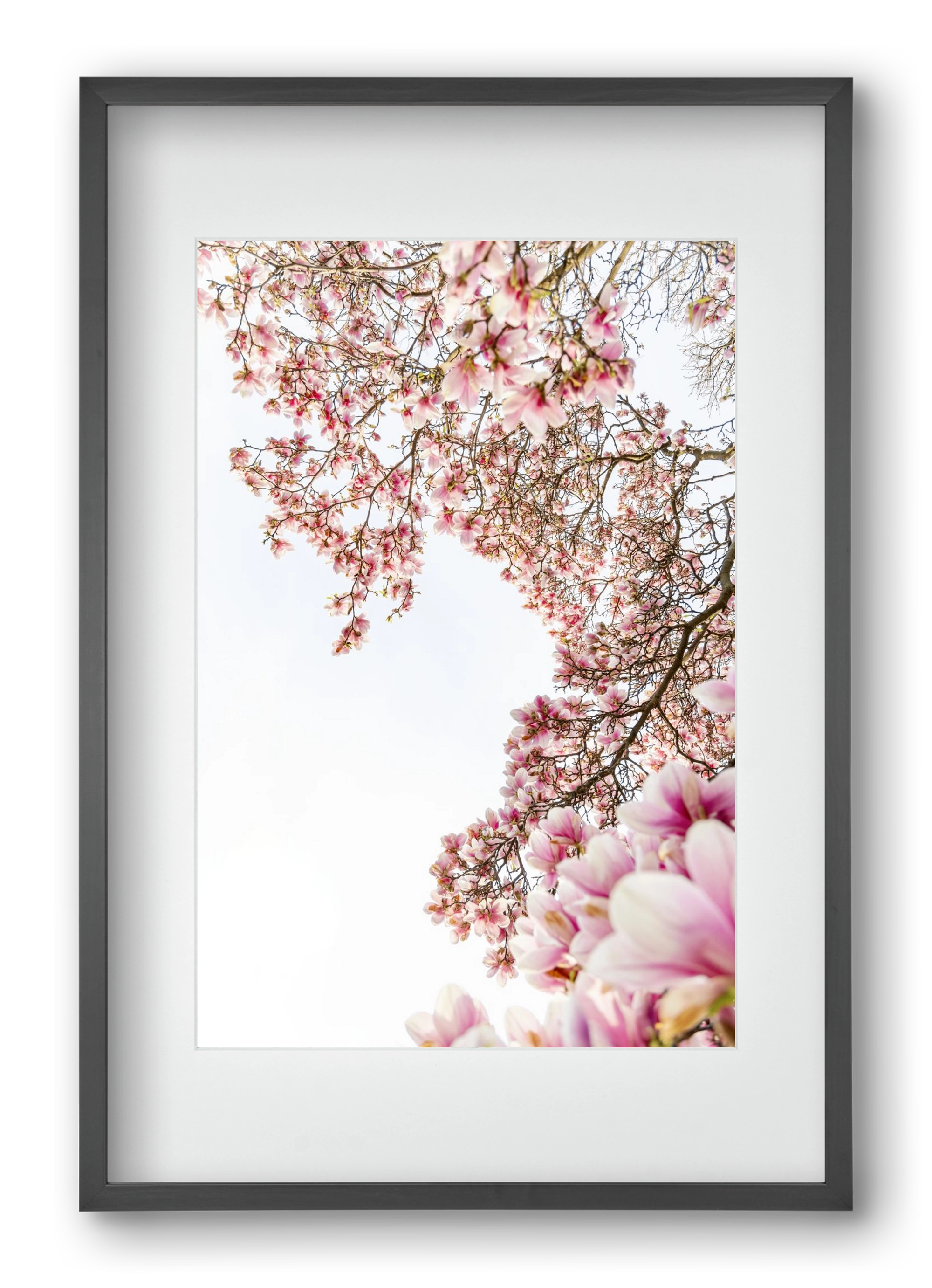 hello SPRING, 40x60 cm (30x45 cm), Fekete keret, paszpartuval