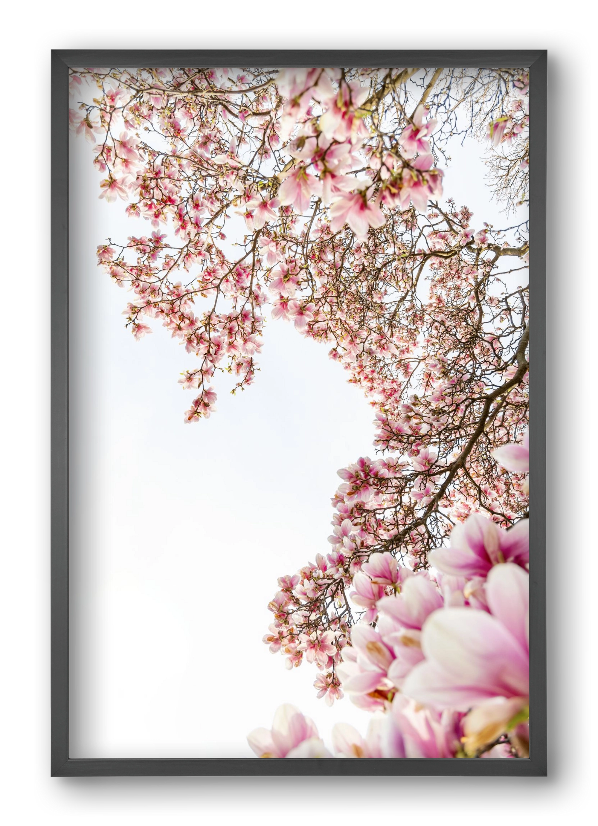 hello SPRING, 40x60 cm (40x60 cm), Fekete keret