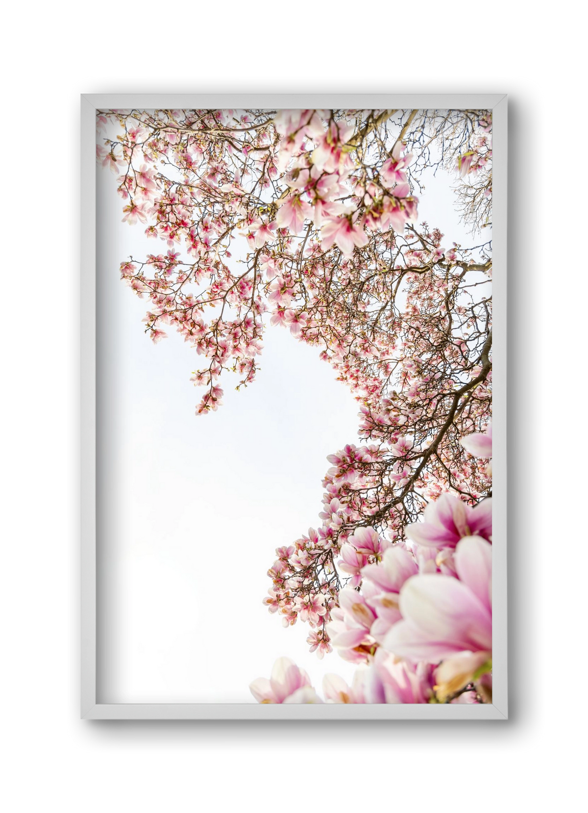 hello SPRING, 30x45 cm (30x45 cm), Fehér keret