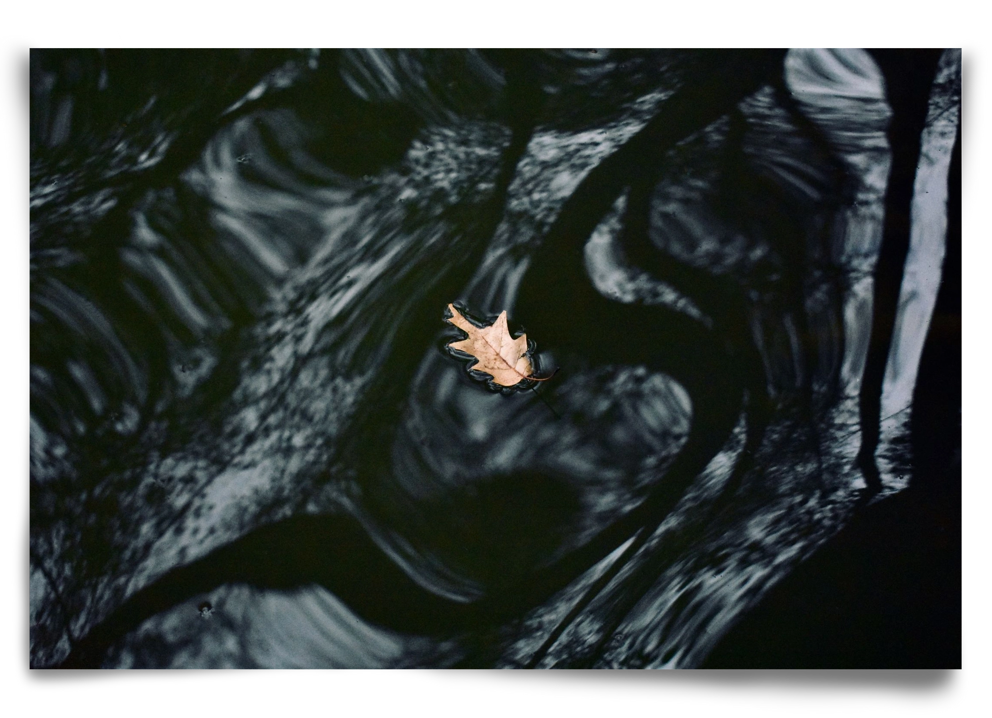 water philosophy, 90x60 cm, Keret nélkül