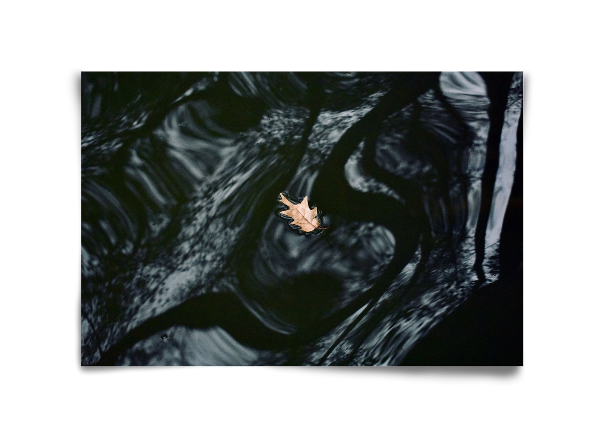 water philosophy, 45x30 cm, Keret nélkül