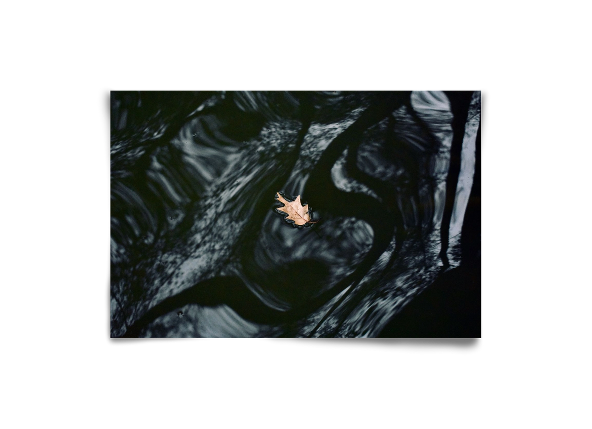 water philosophy, 30x20 cm, Keret nélkül